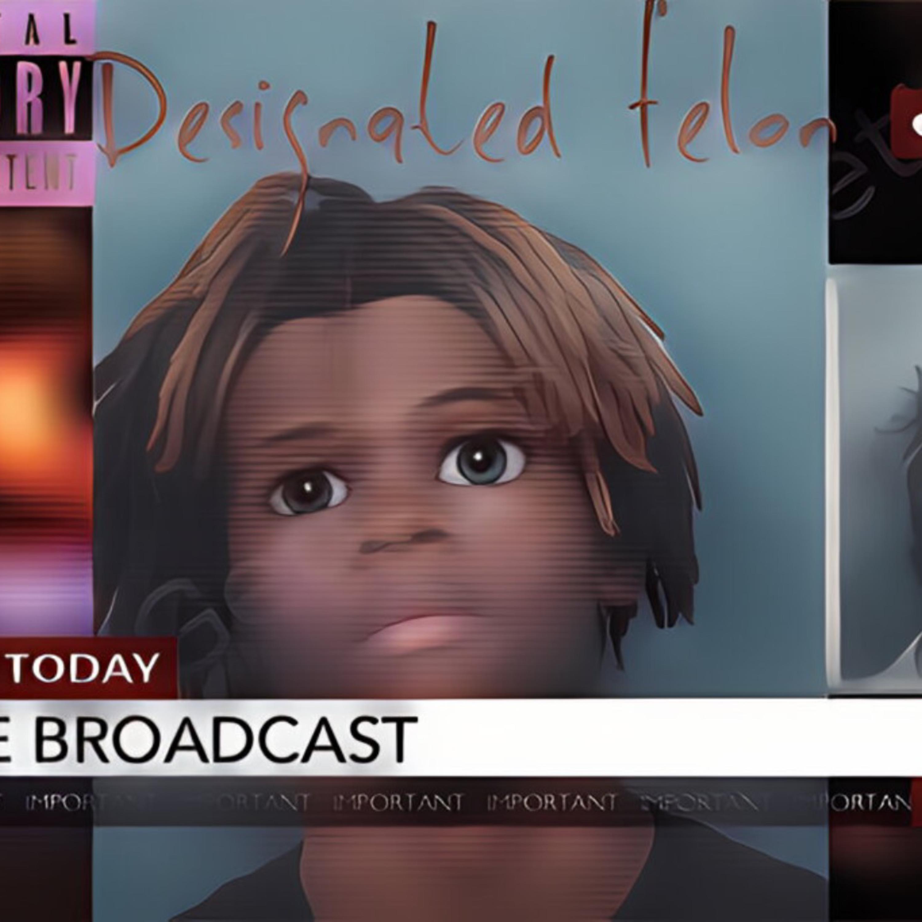 Designated Felon artwork