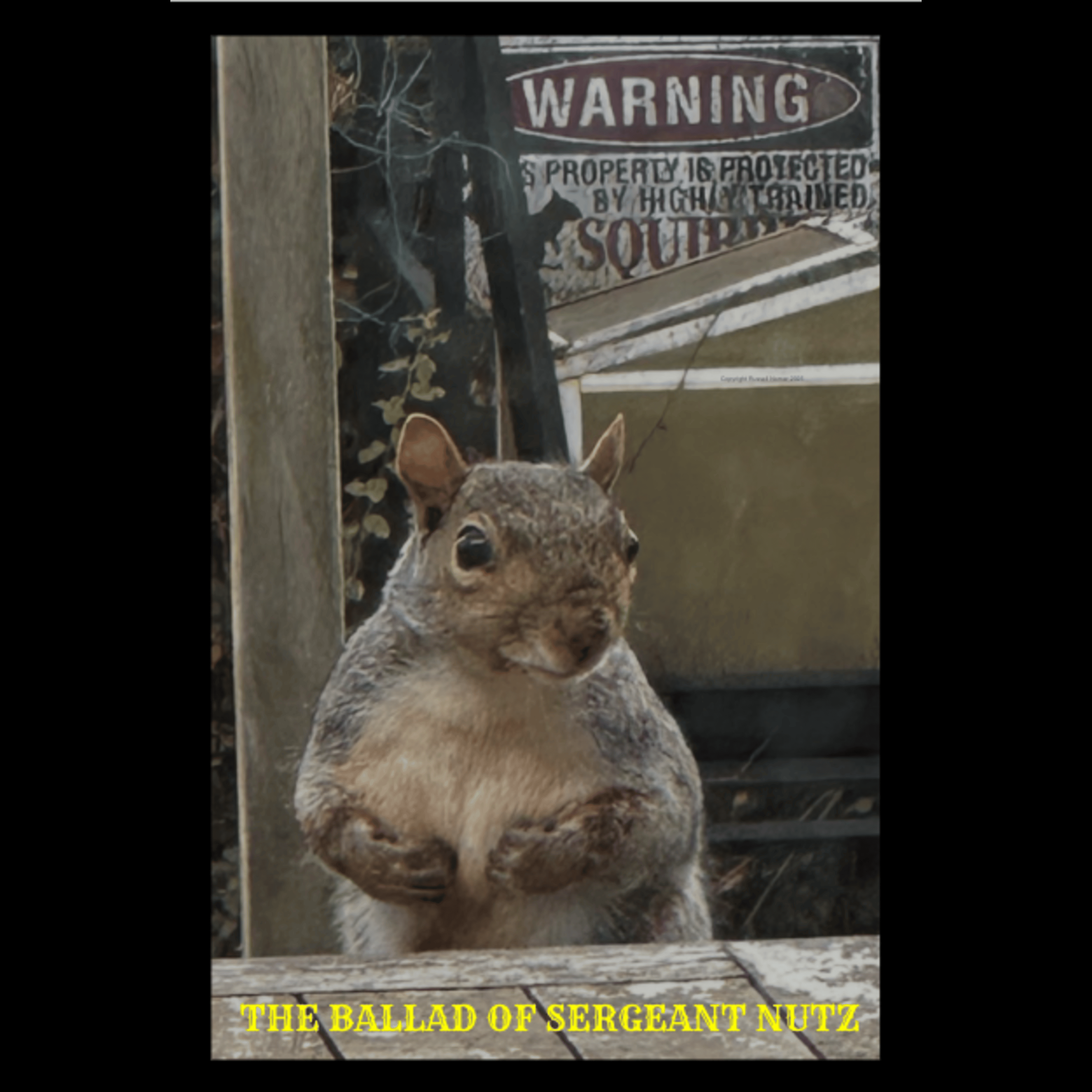 The Ballad of Sergeant Nutz The Hidden Verse artwork