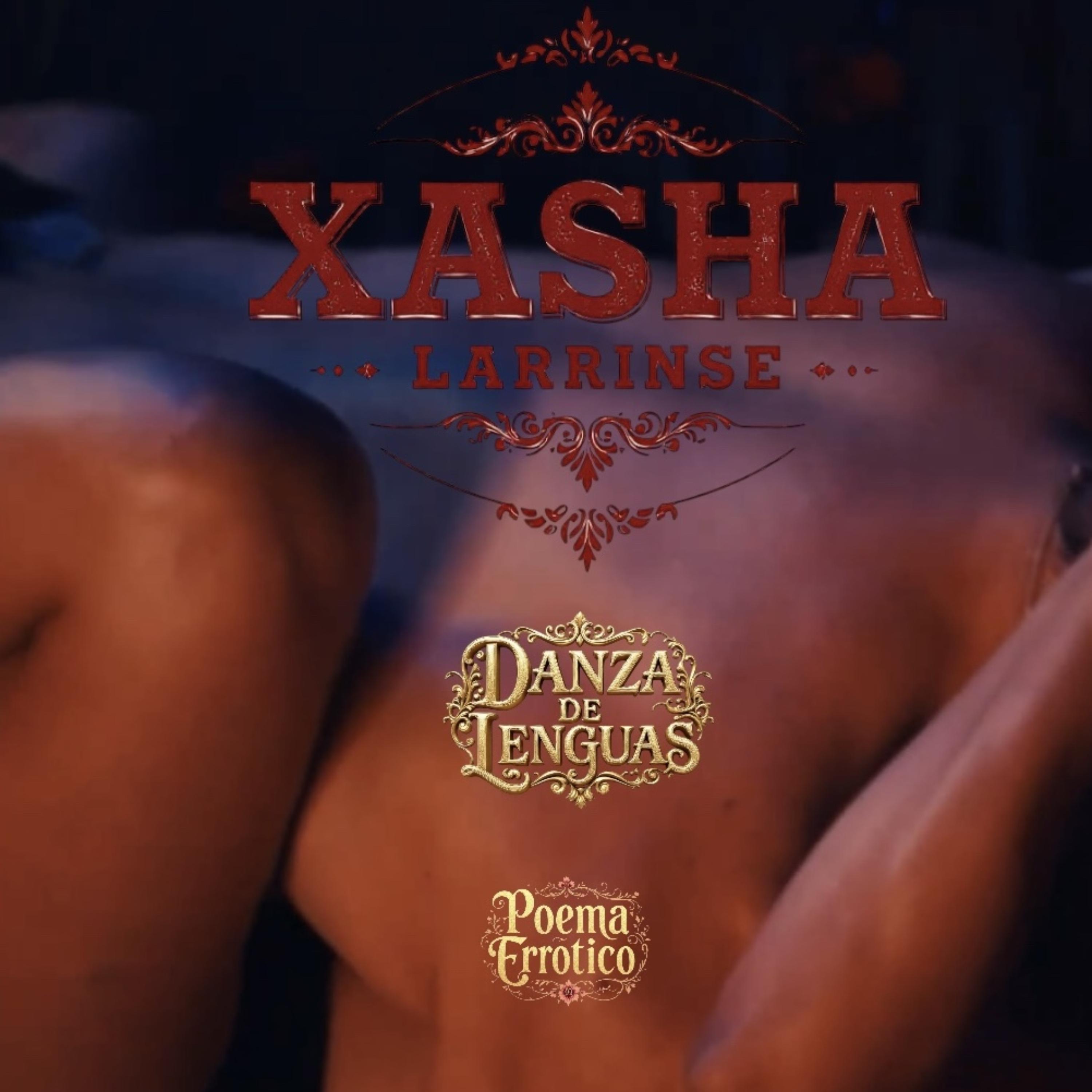 DANZA DE LENGUAS ( Poema Erotico ) artwork