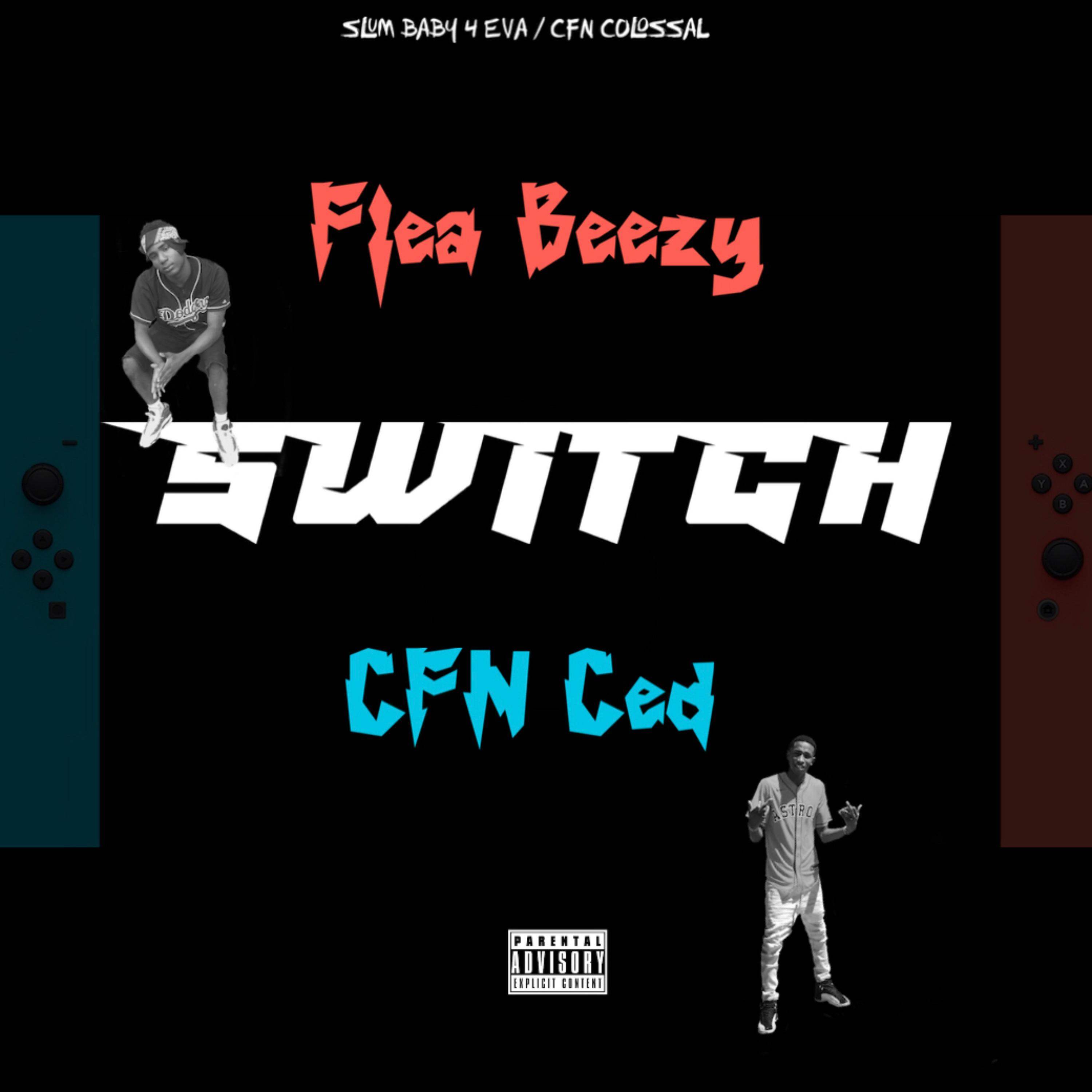 SWITCH artwork