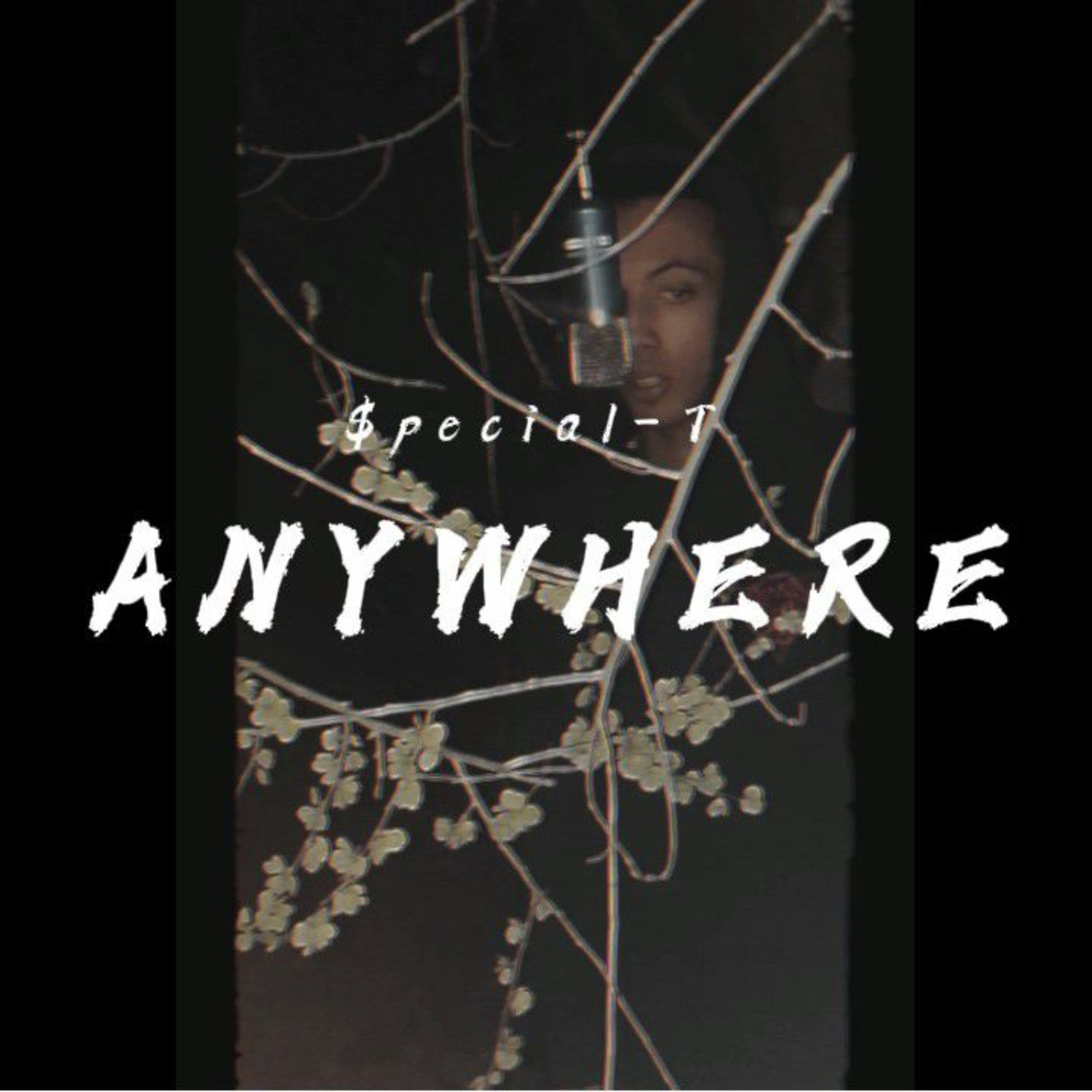 Anywhere artwork