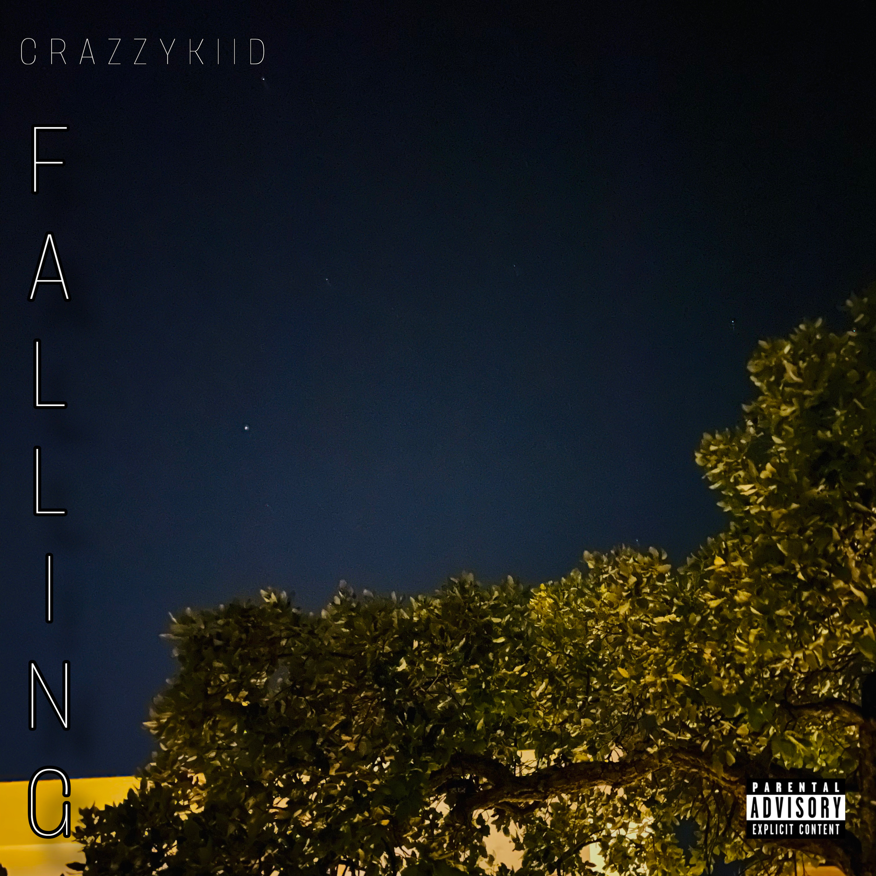 Falling artwork