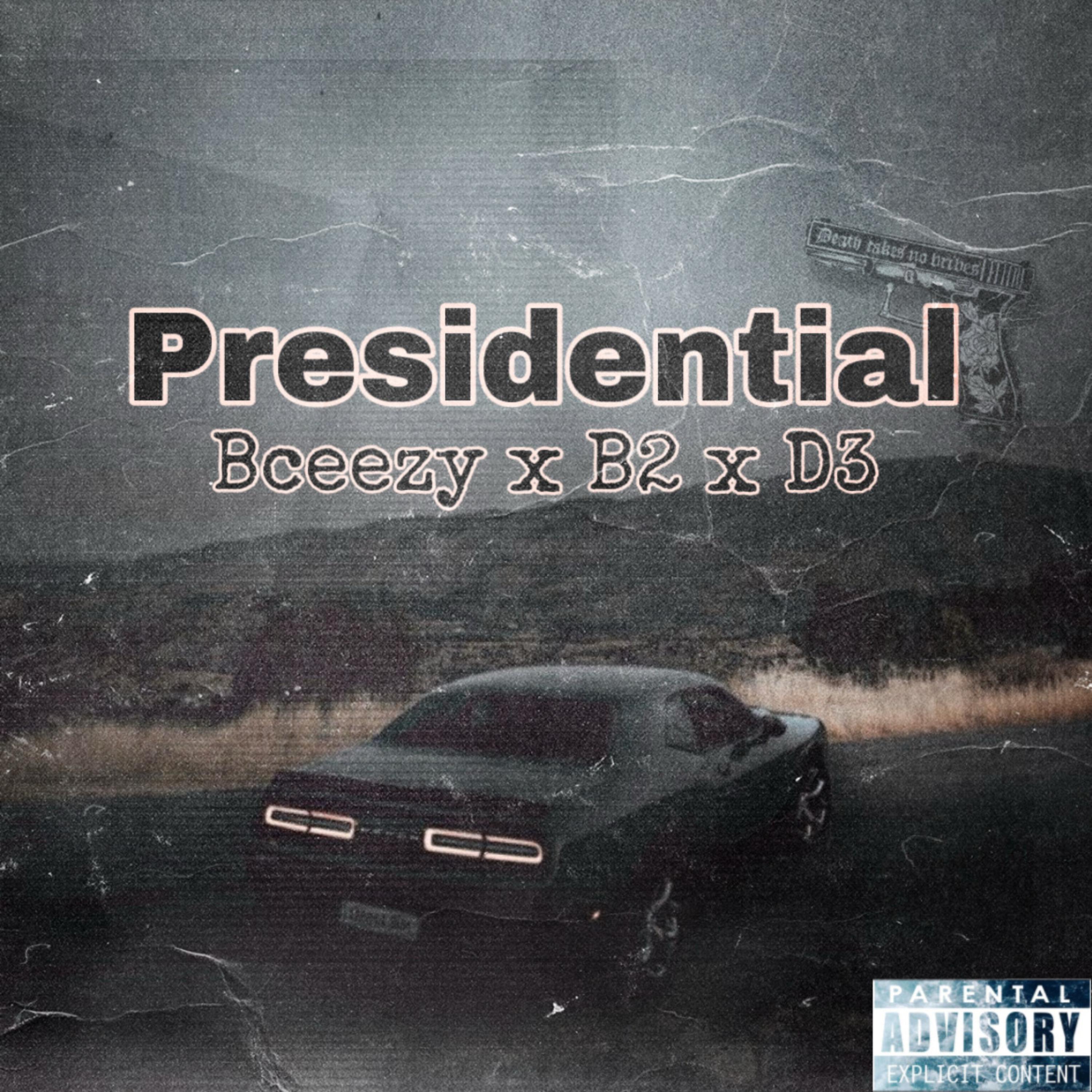 Presidential artwork