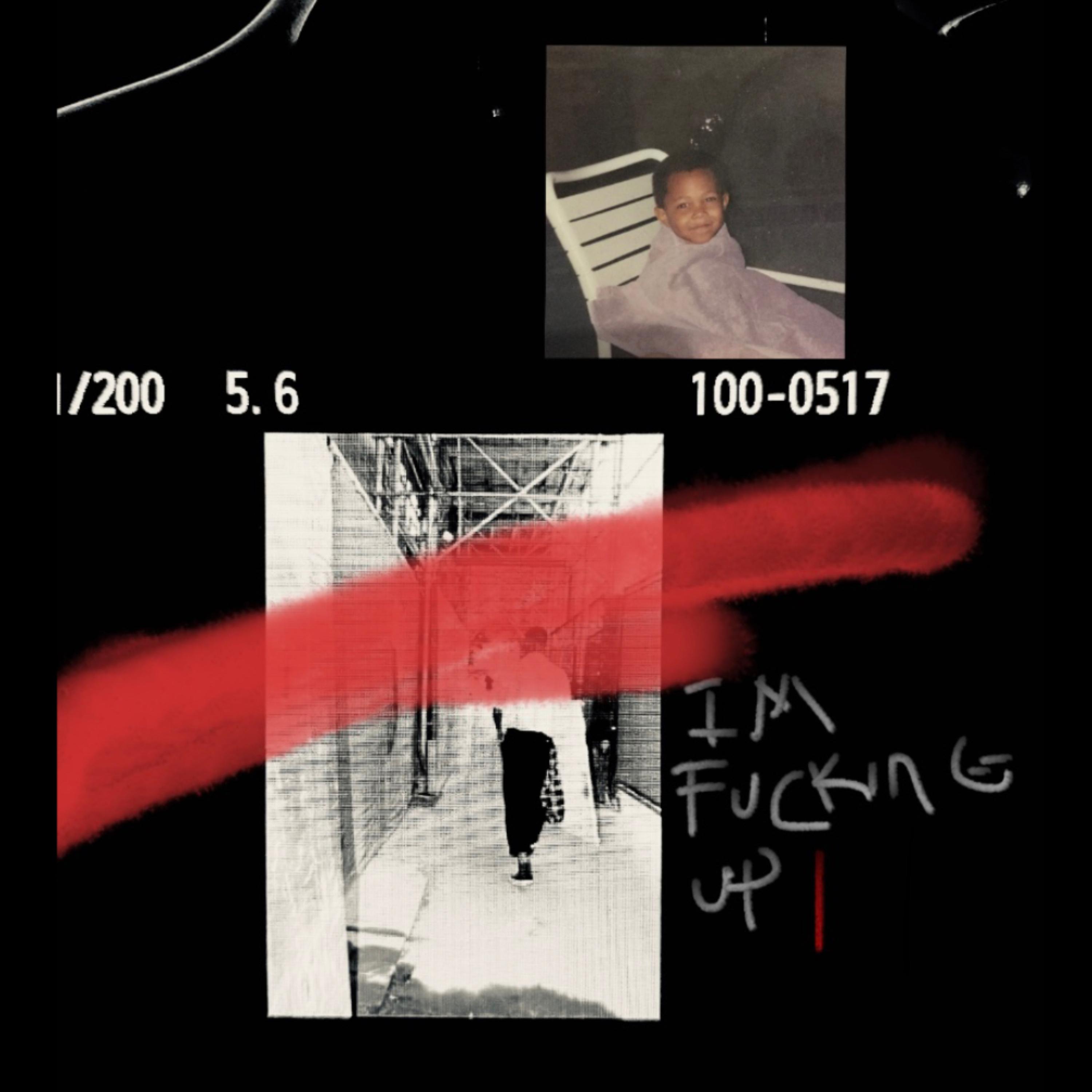 I'm Fucking Up artwork