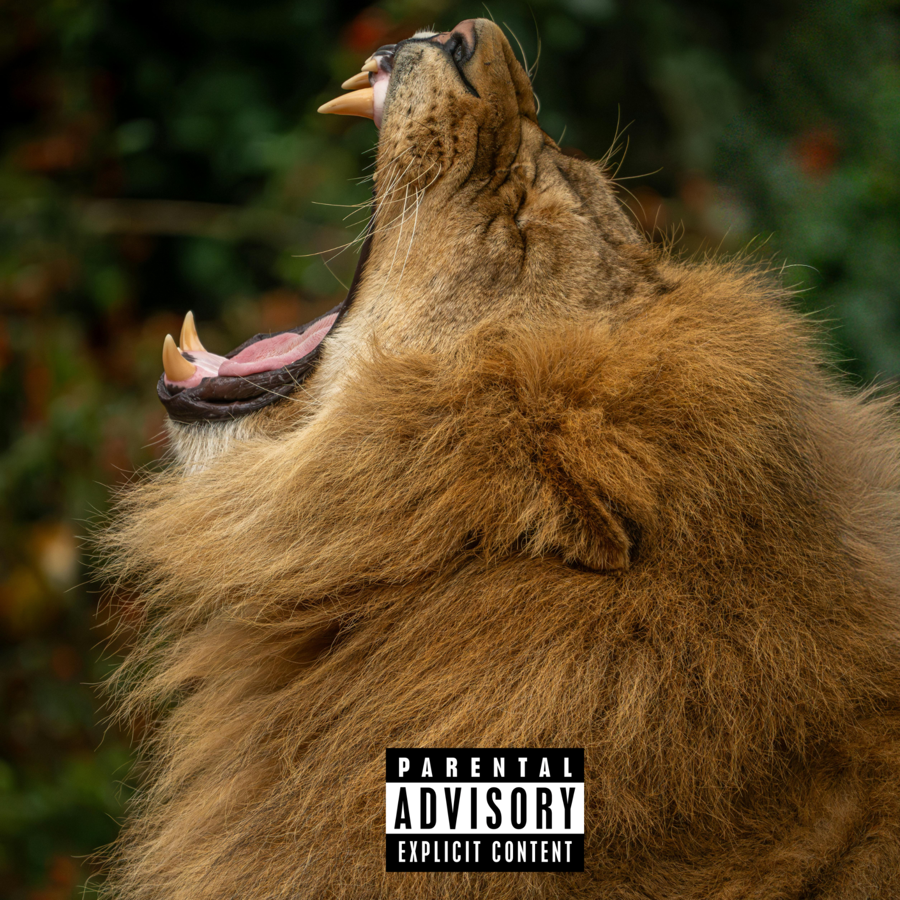 DESPISE ME artwork