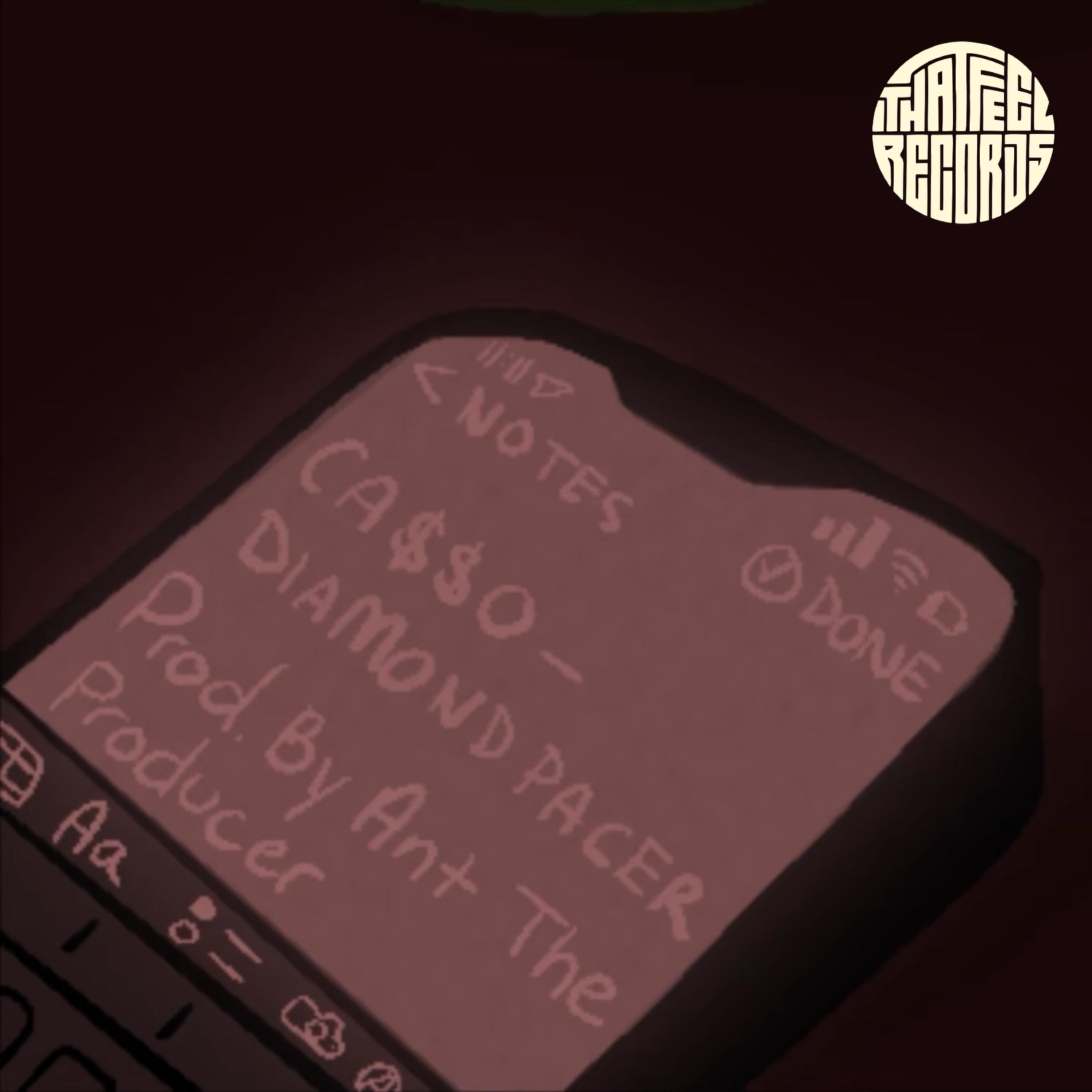 Diamond Pacer by THAT FEEL cover art