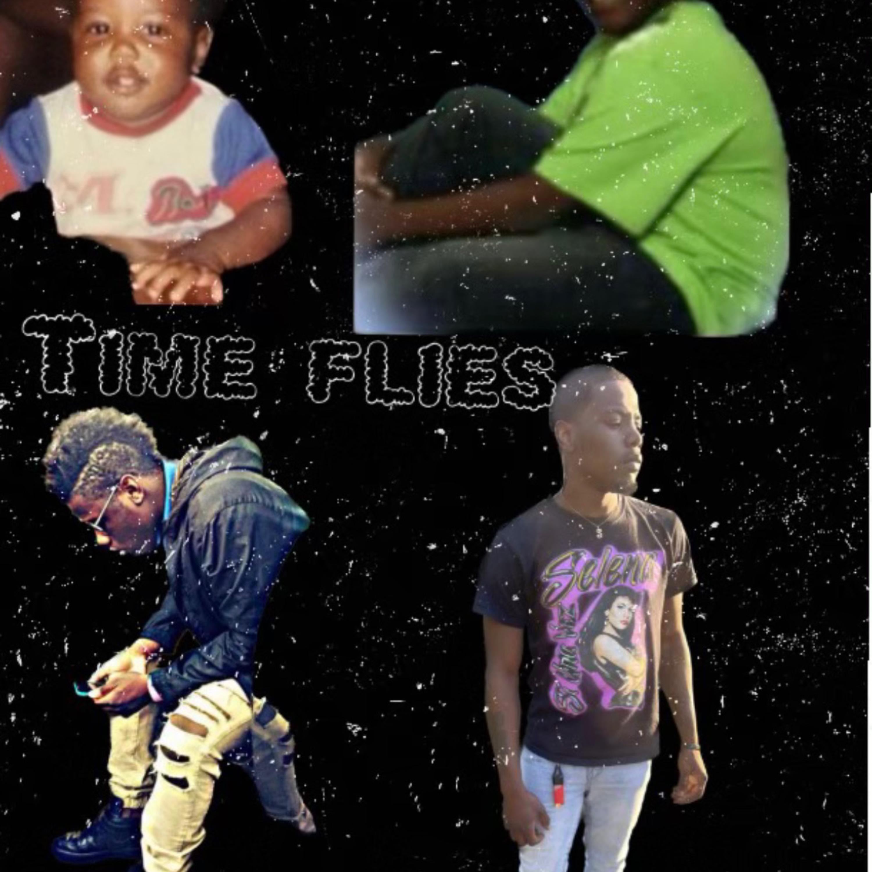 Time Flies artwork