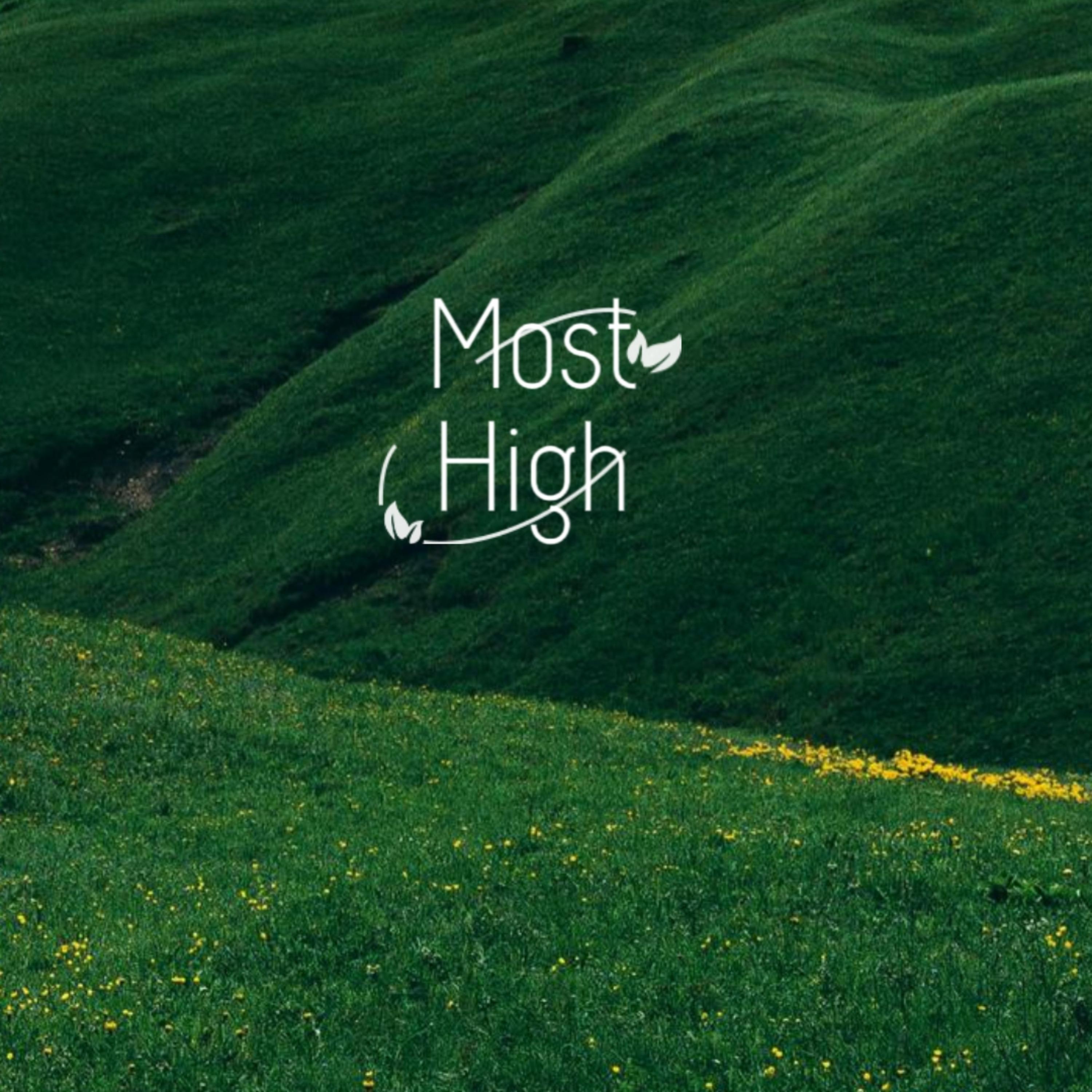 Most High artwork