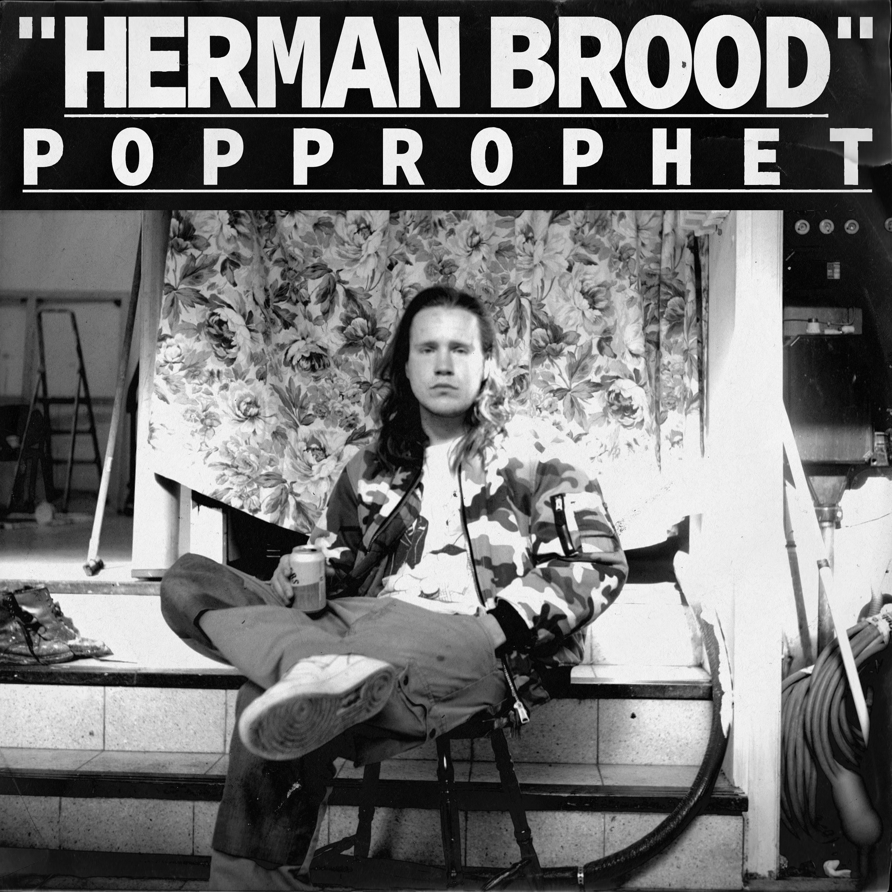 Herman Brood artwork