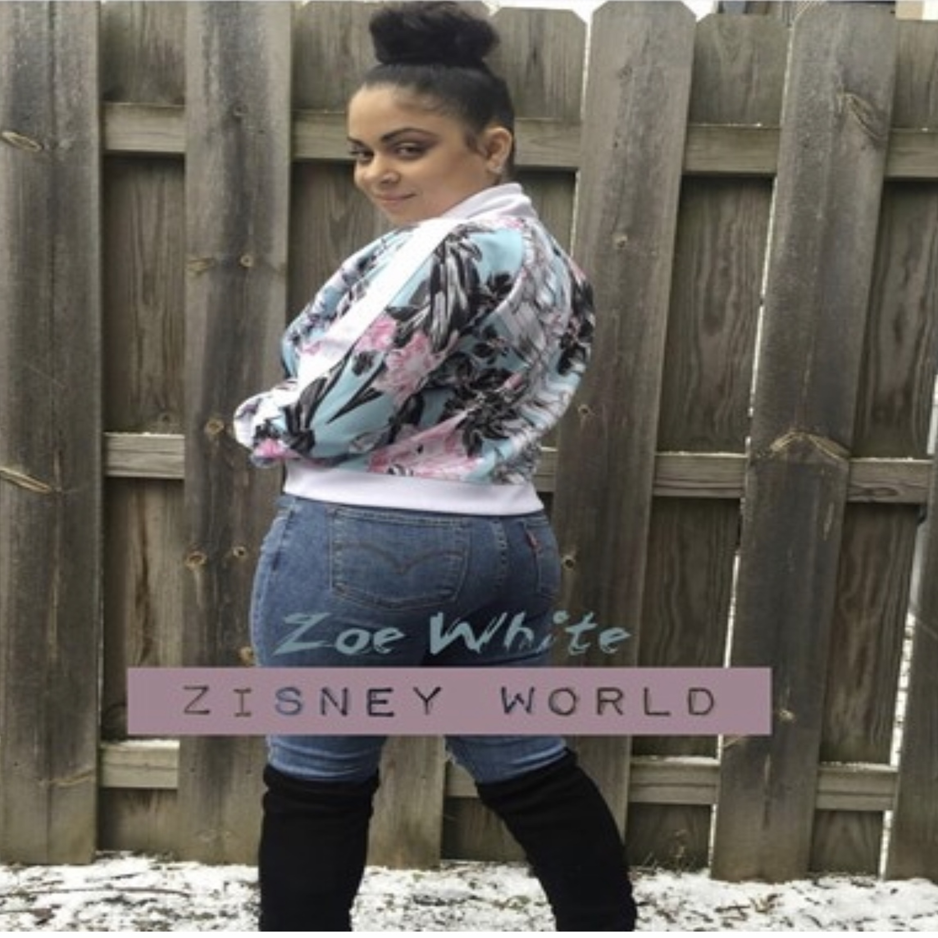 Zisney World artwork