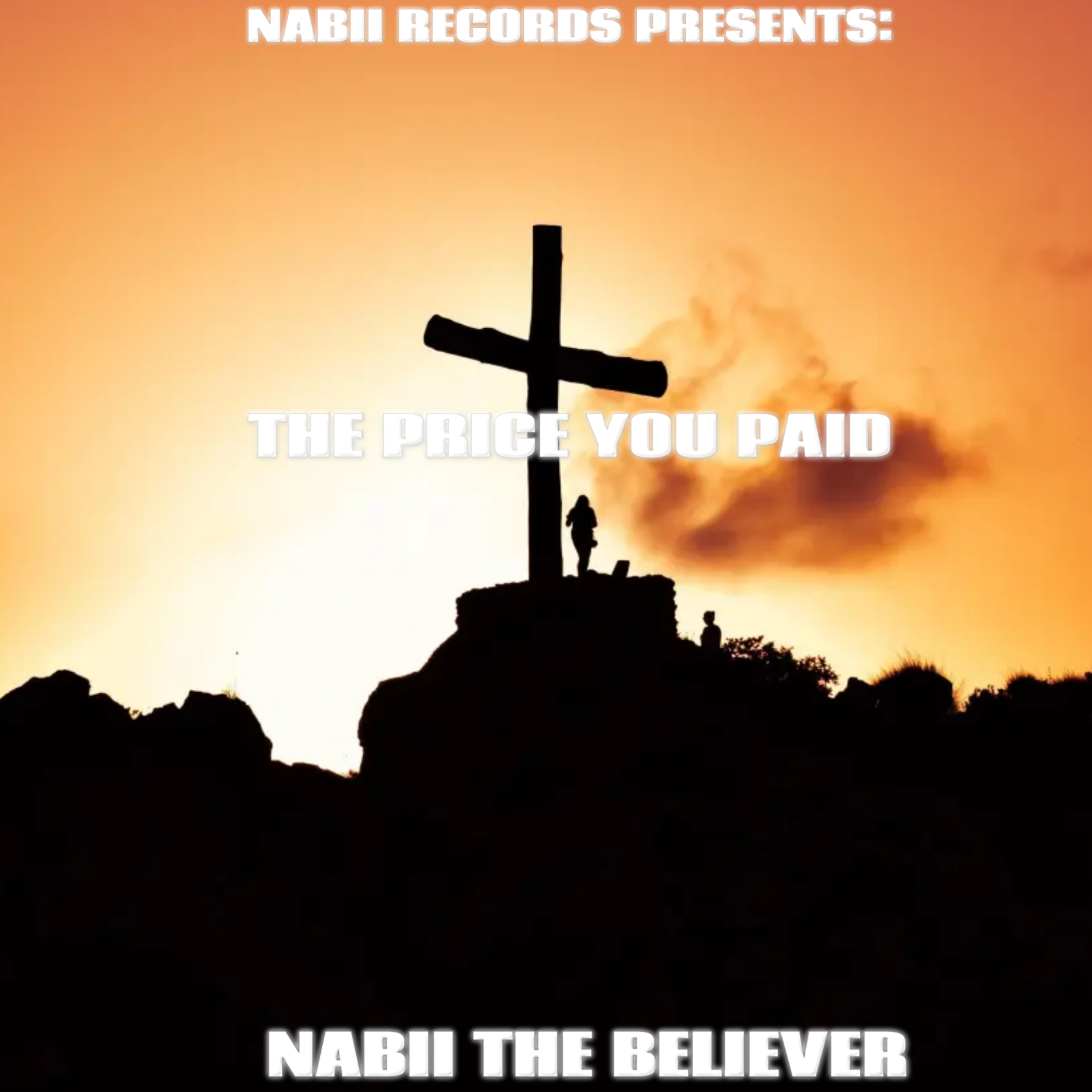 The Price You Paid artwork