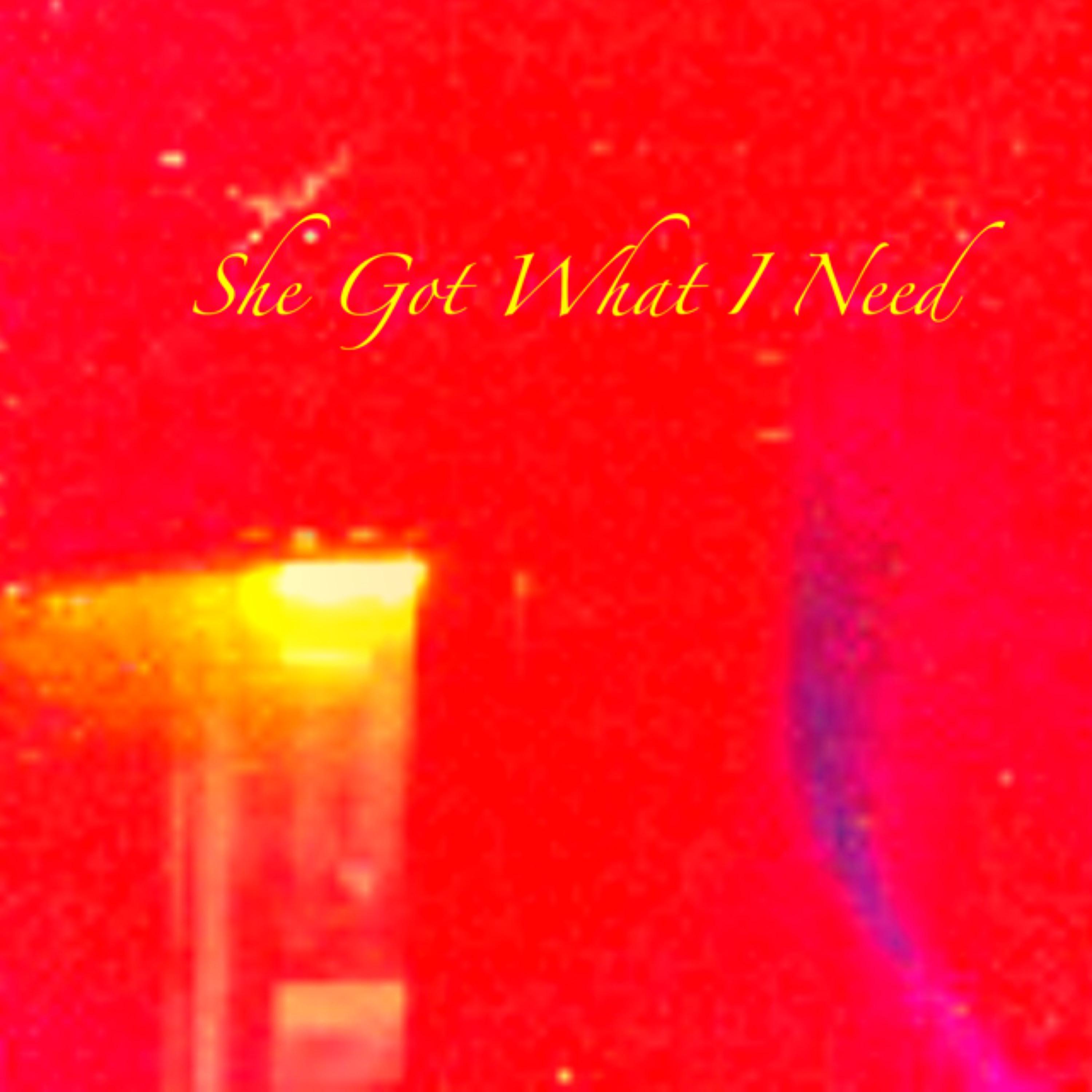 She Got What I Need by Nino Fricano cover art