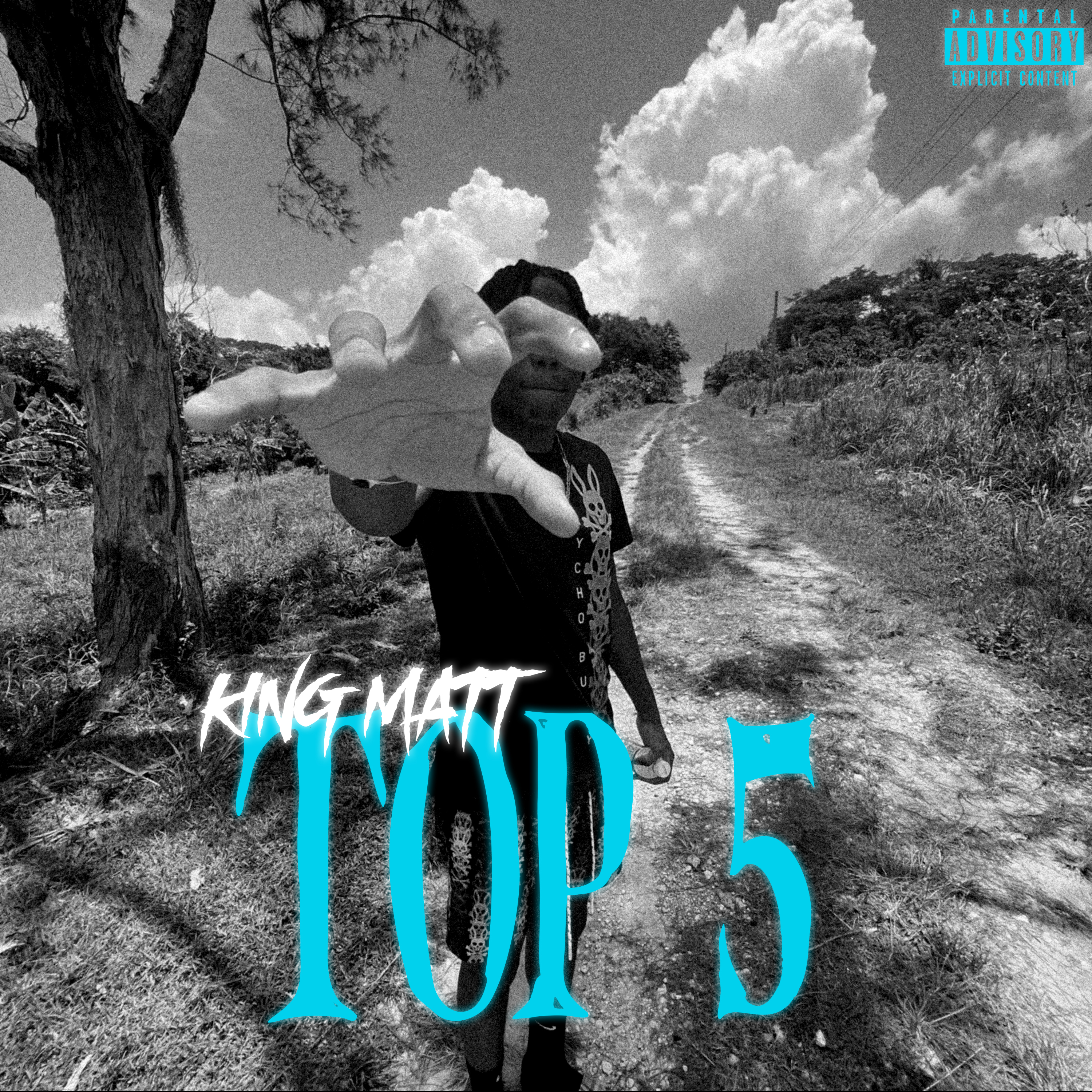 Top 5 artwork