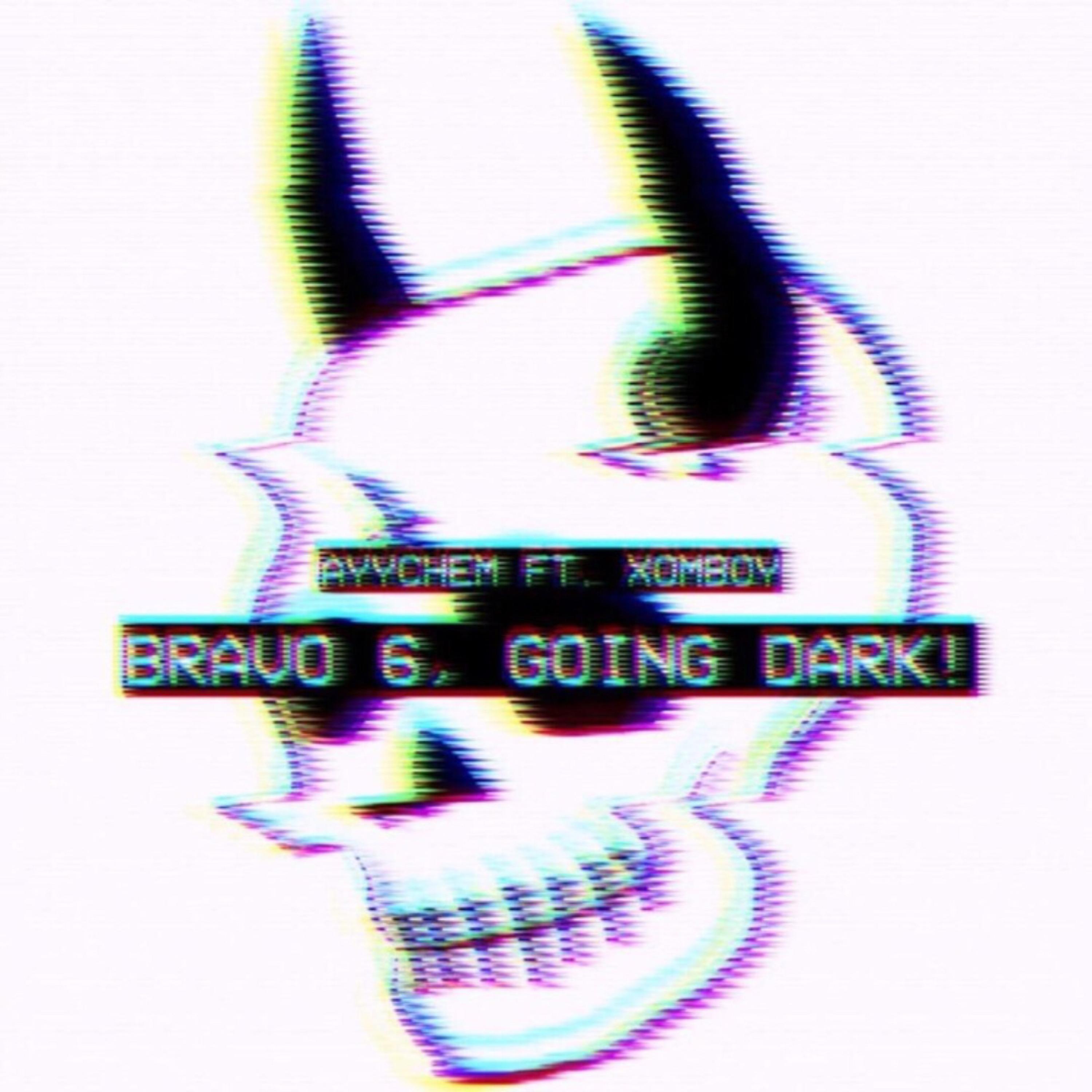 BRAVO 6, GOING DARK! artwork