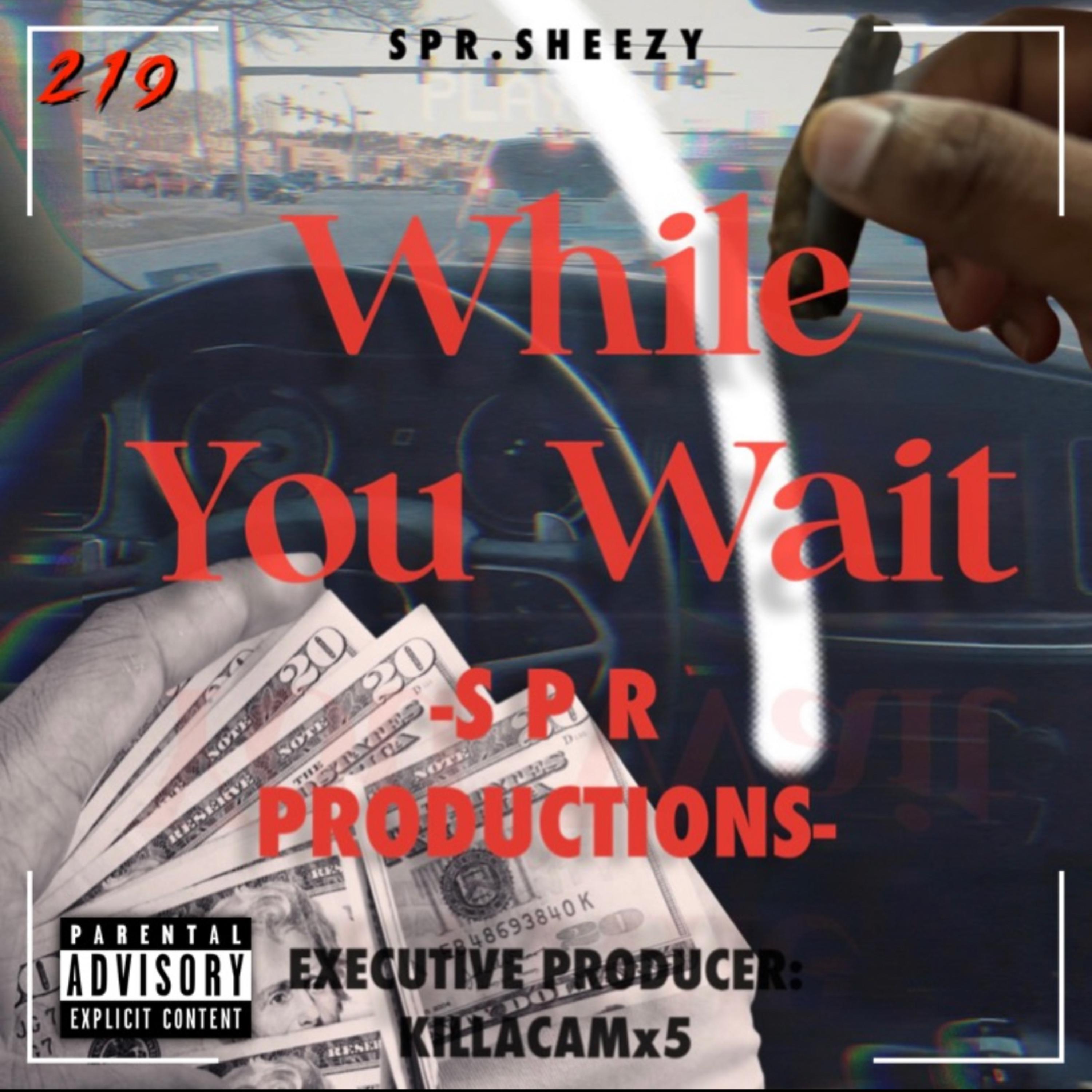 While You Wait by SPR Sheezy cover art