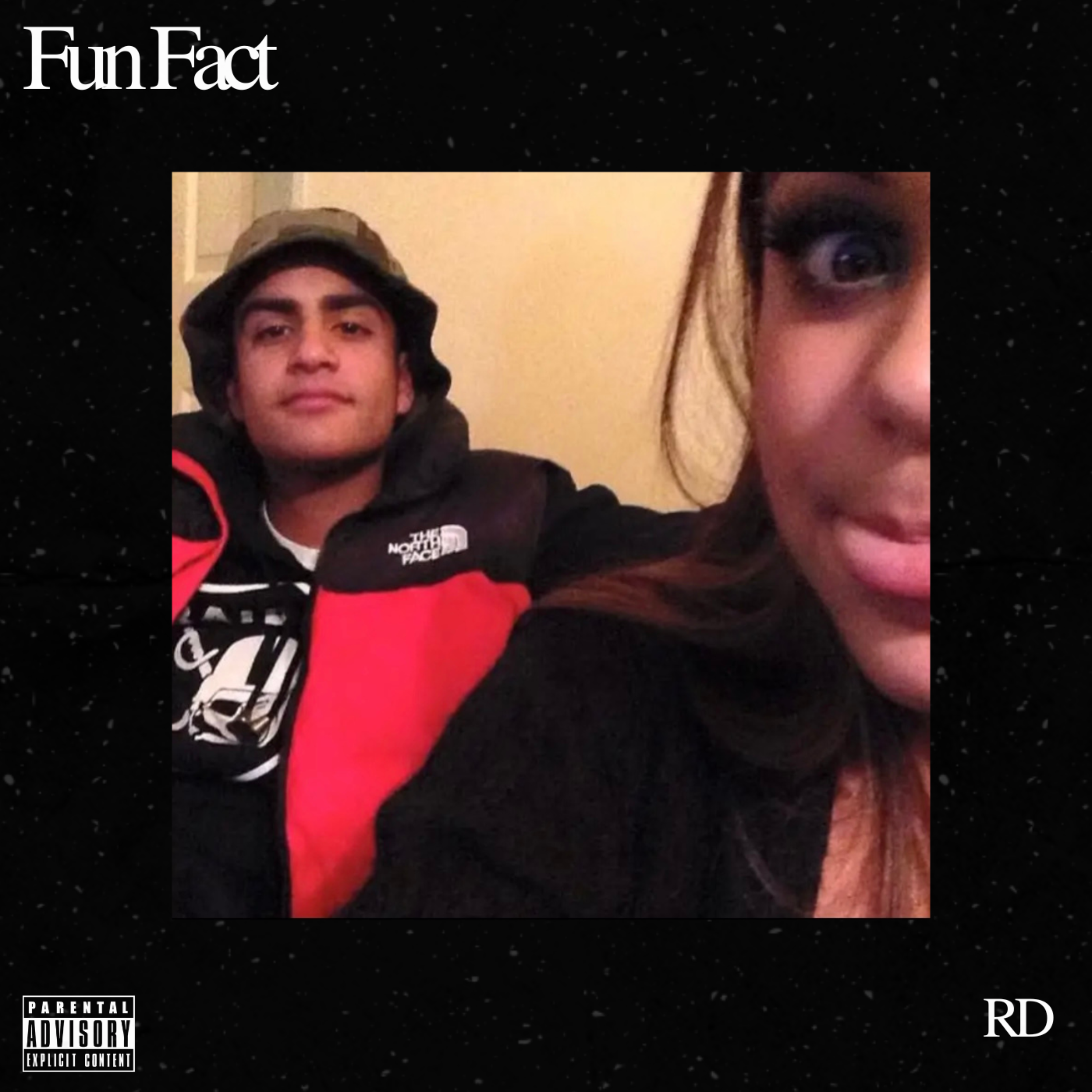 Fun Fact artwork