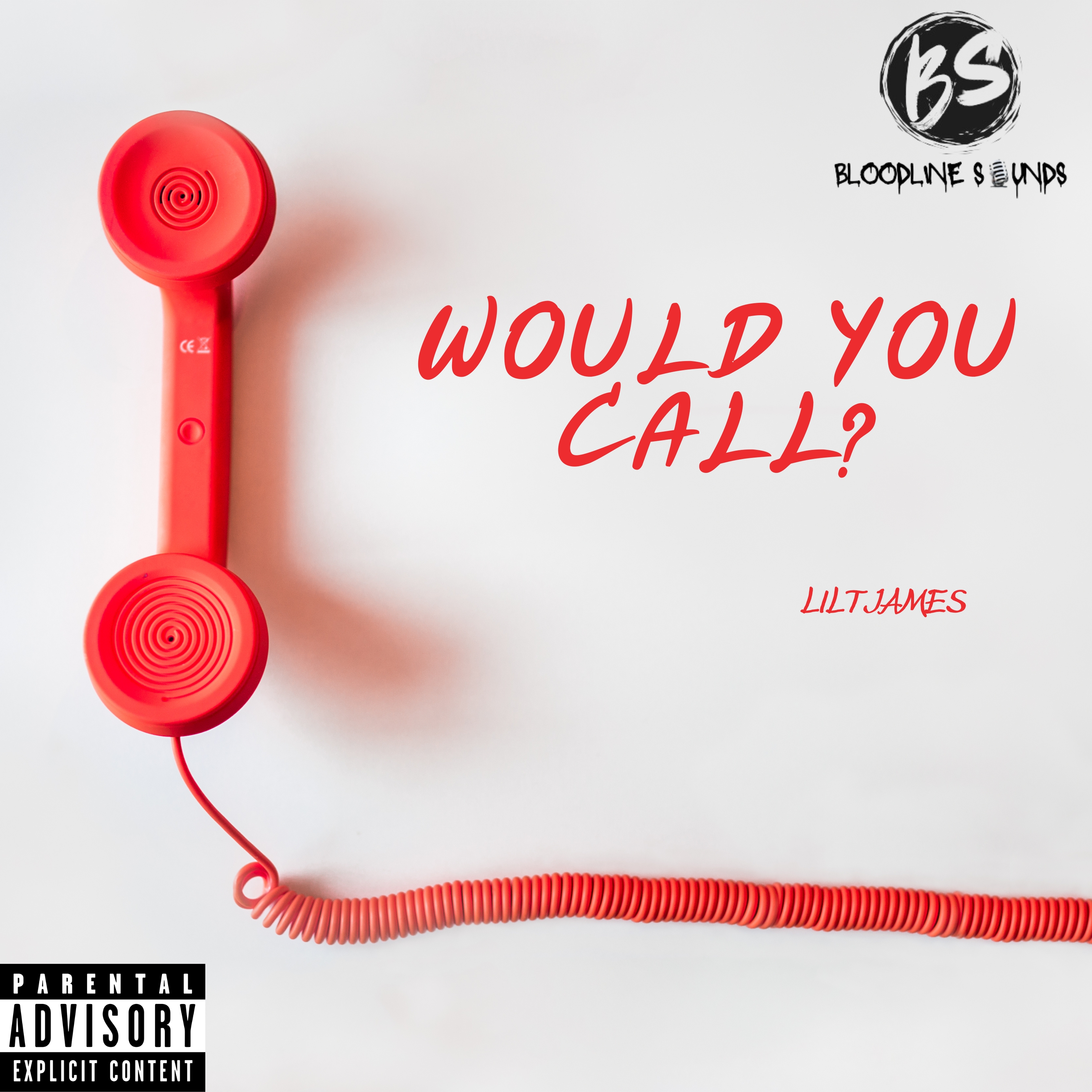 Would You Call? artwork