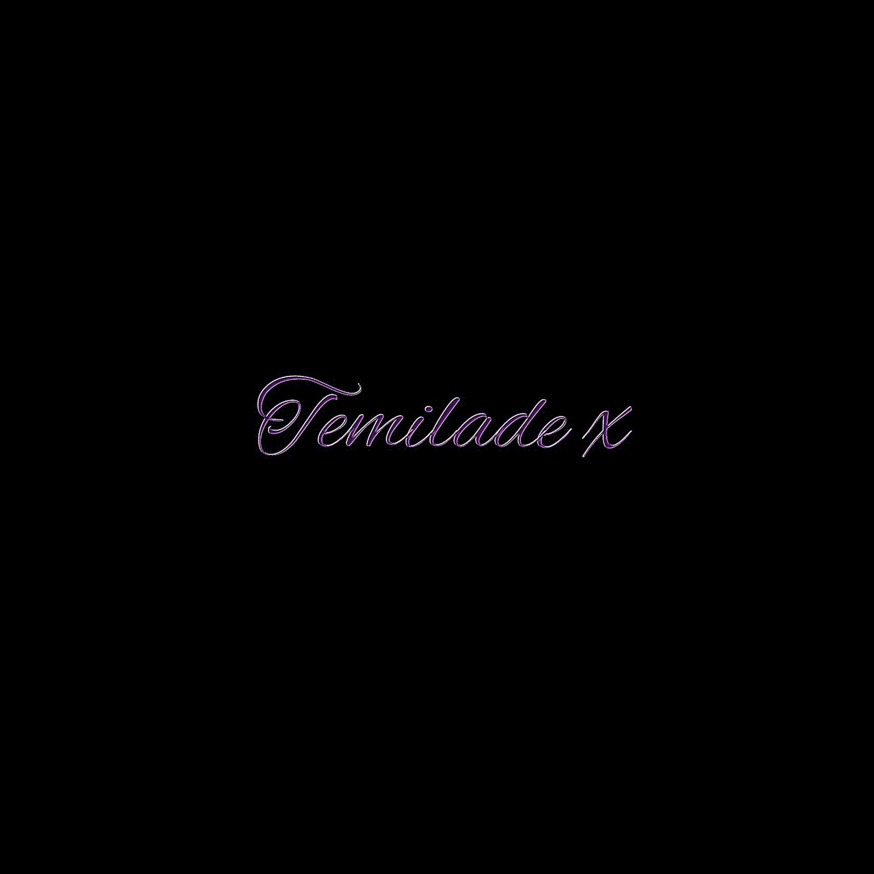 Temilade x artwork