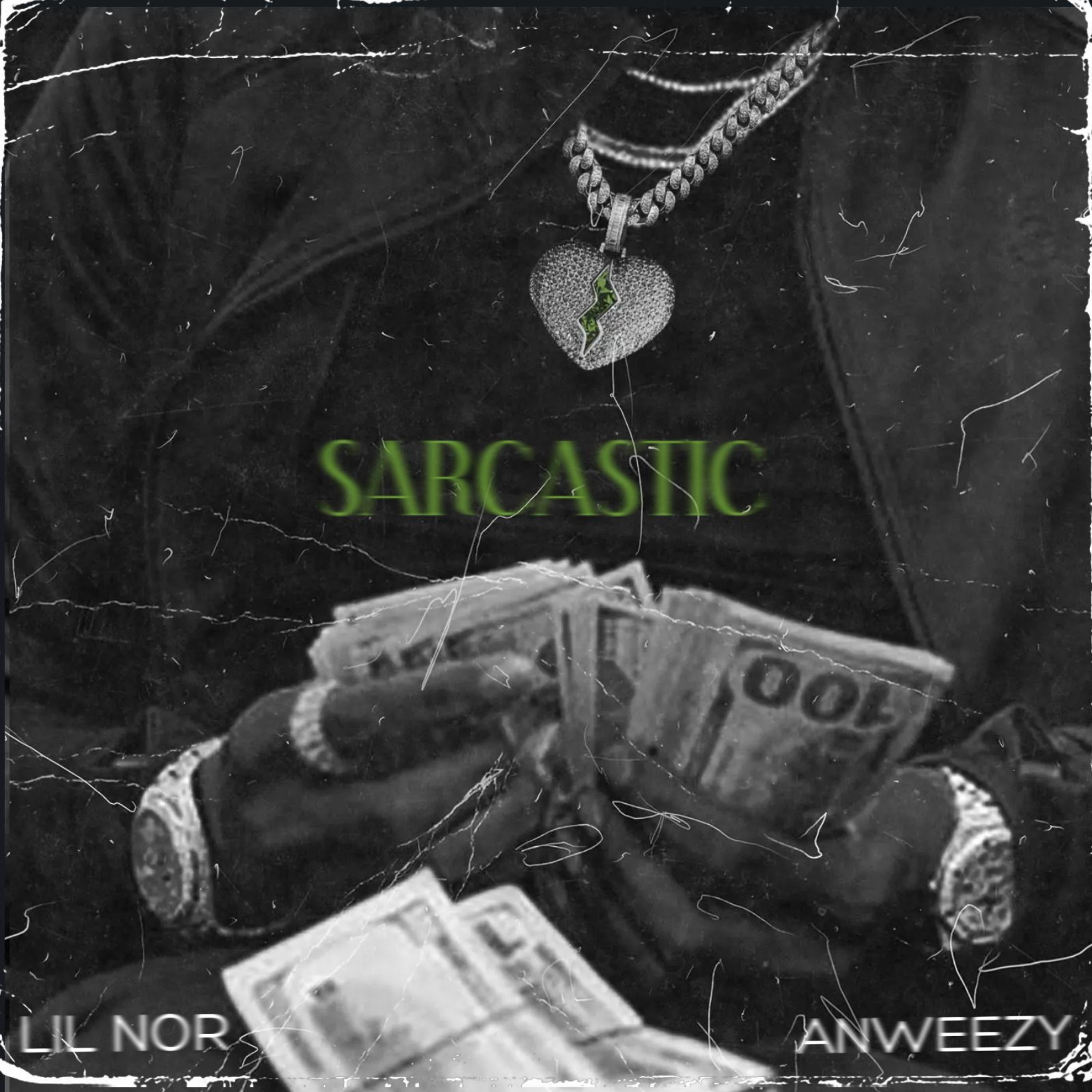 Sarcastic by Anweezy cover art