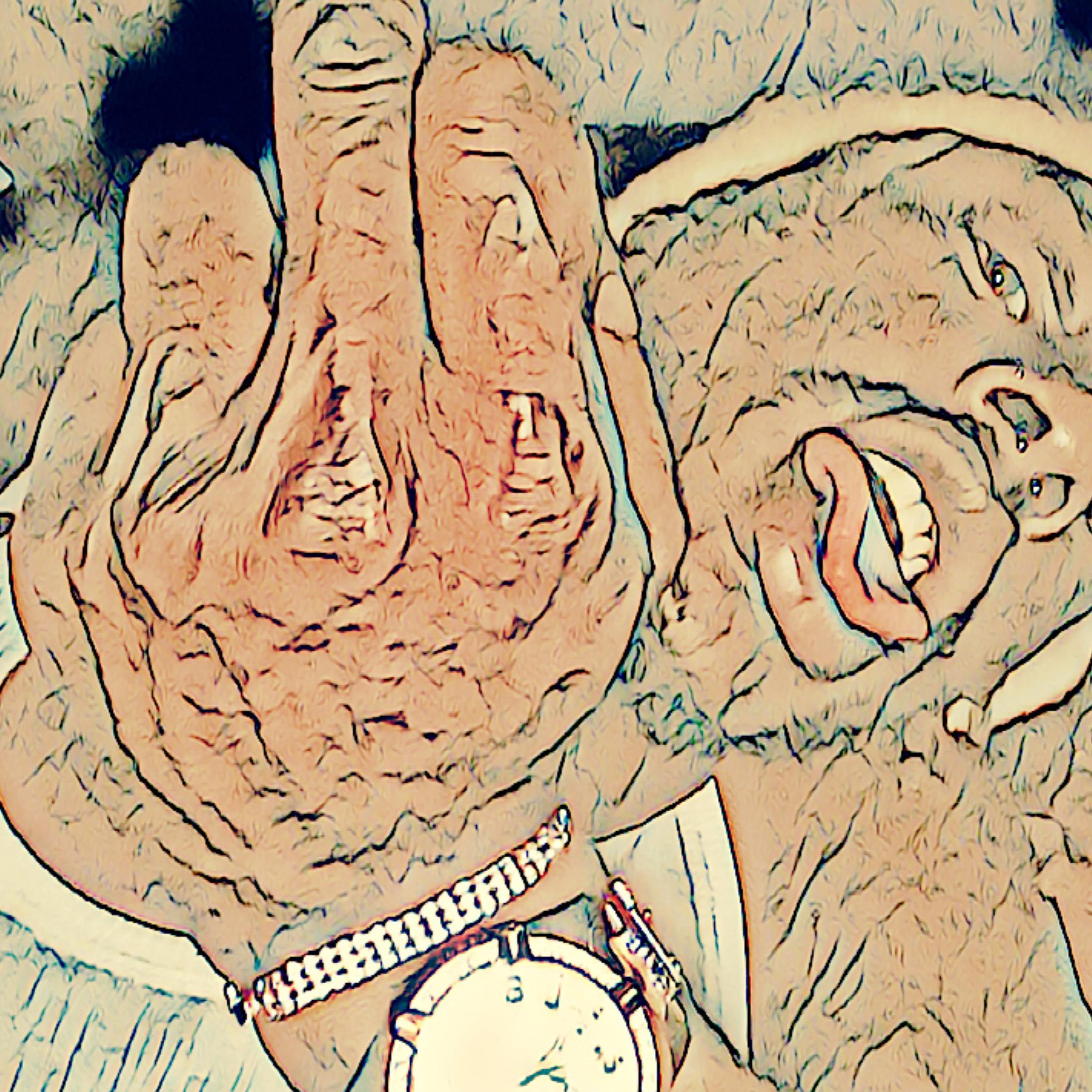 Guapo artwork