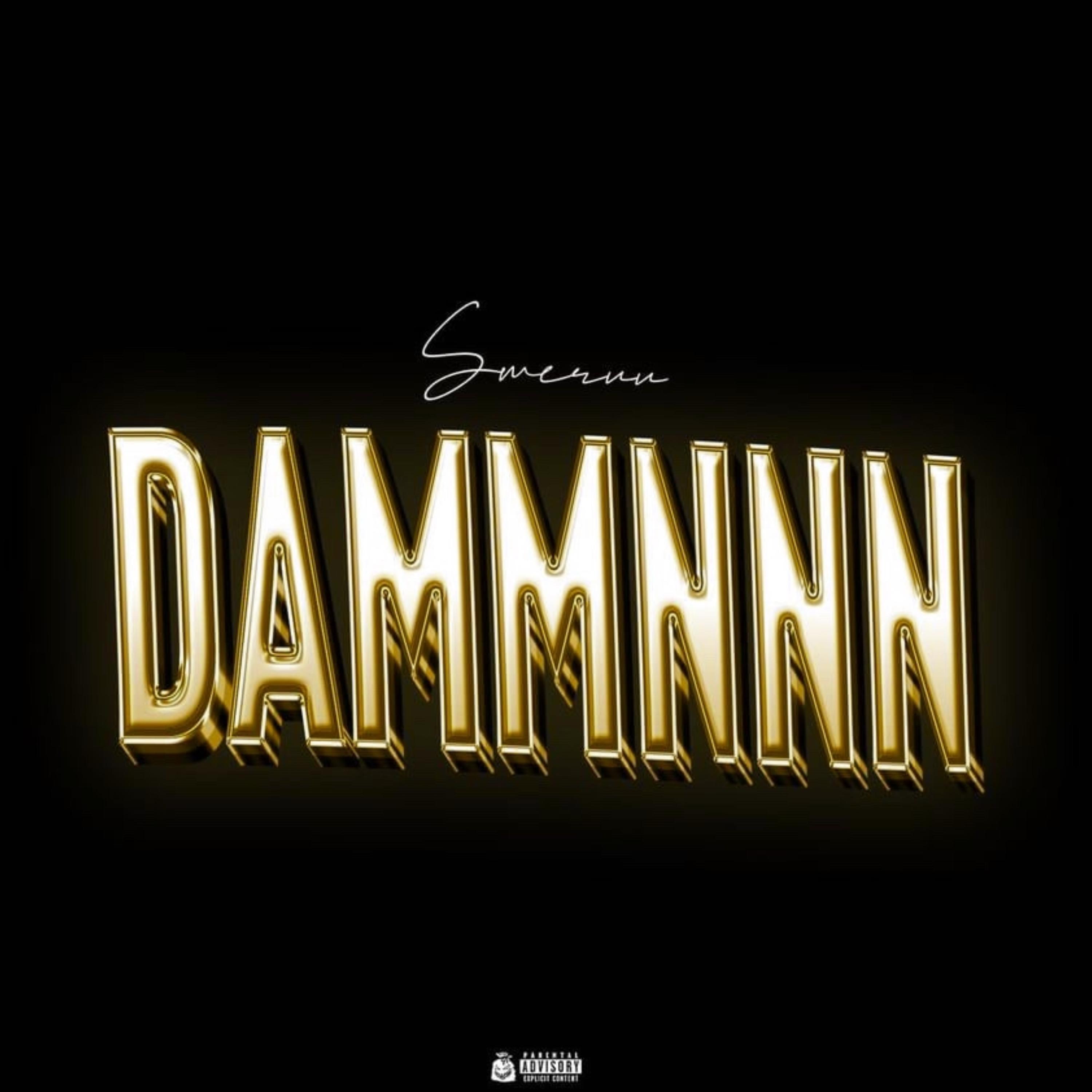 Dammnnn artwork