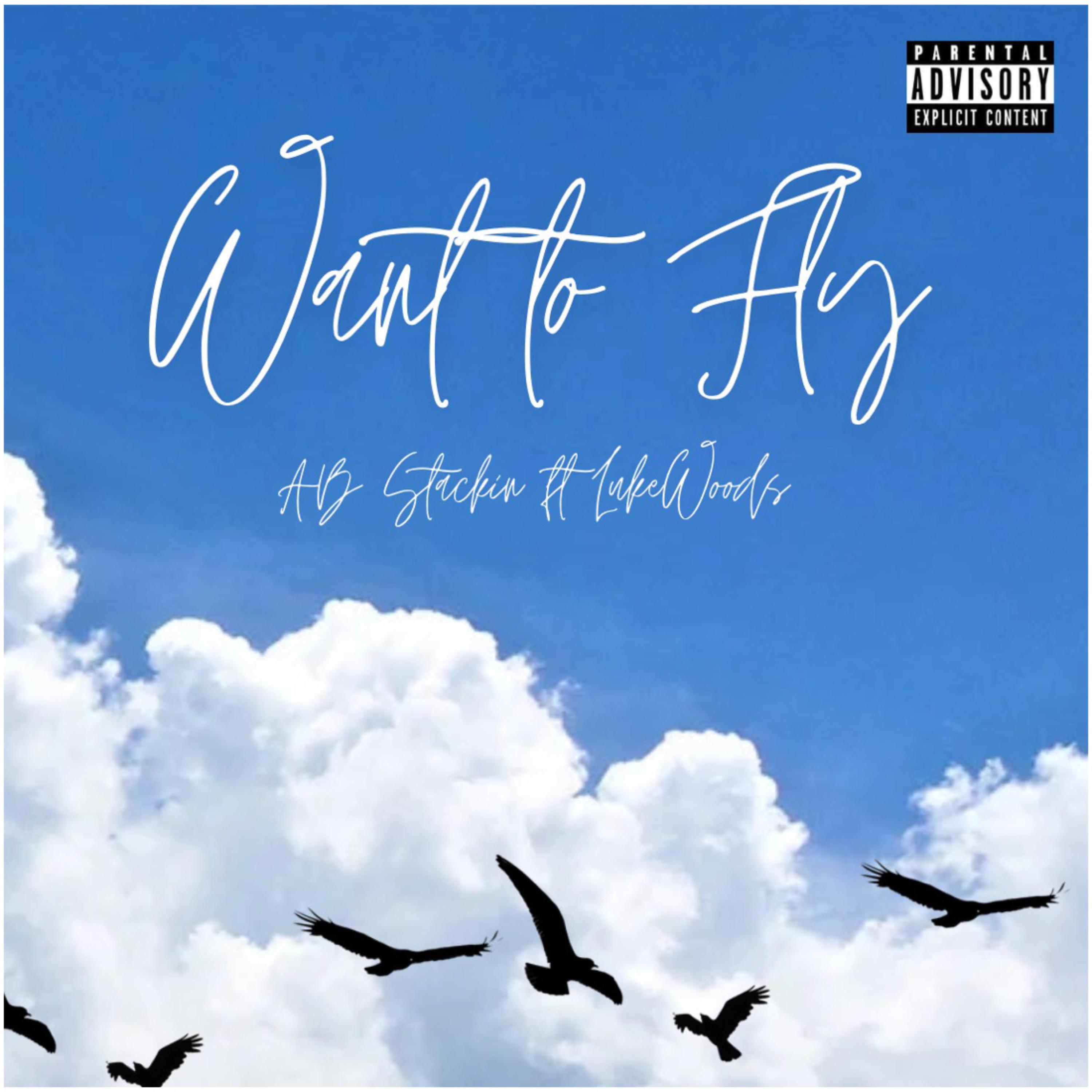 Want to Fly artwork