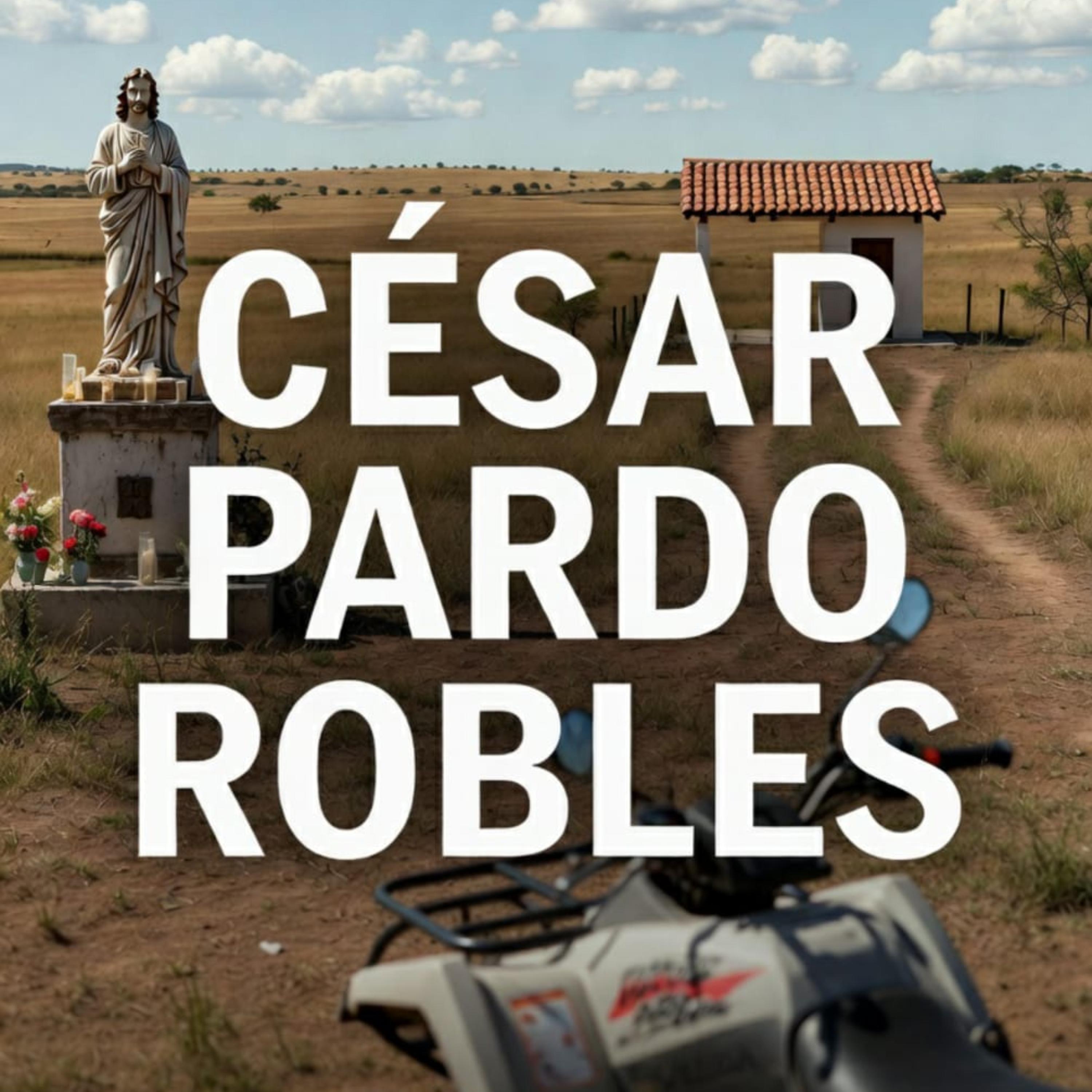 CÉSAR PARDO ROBLES artwork