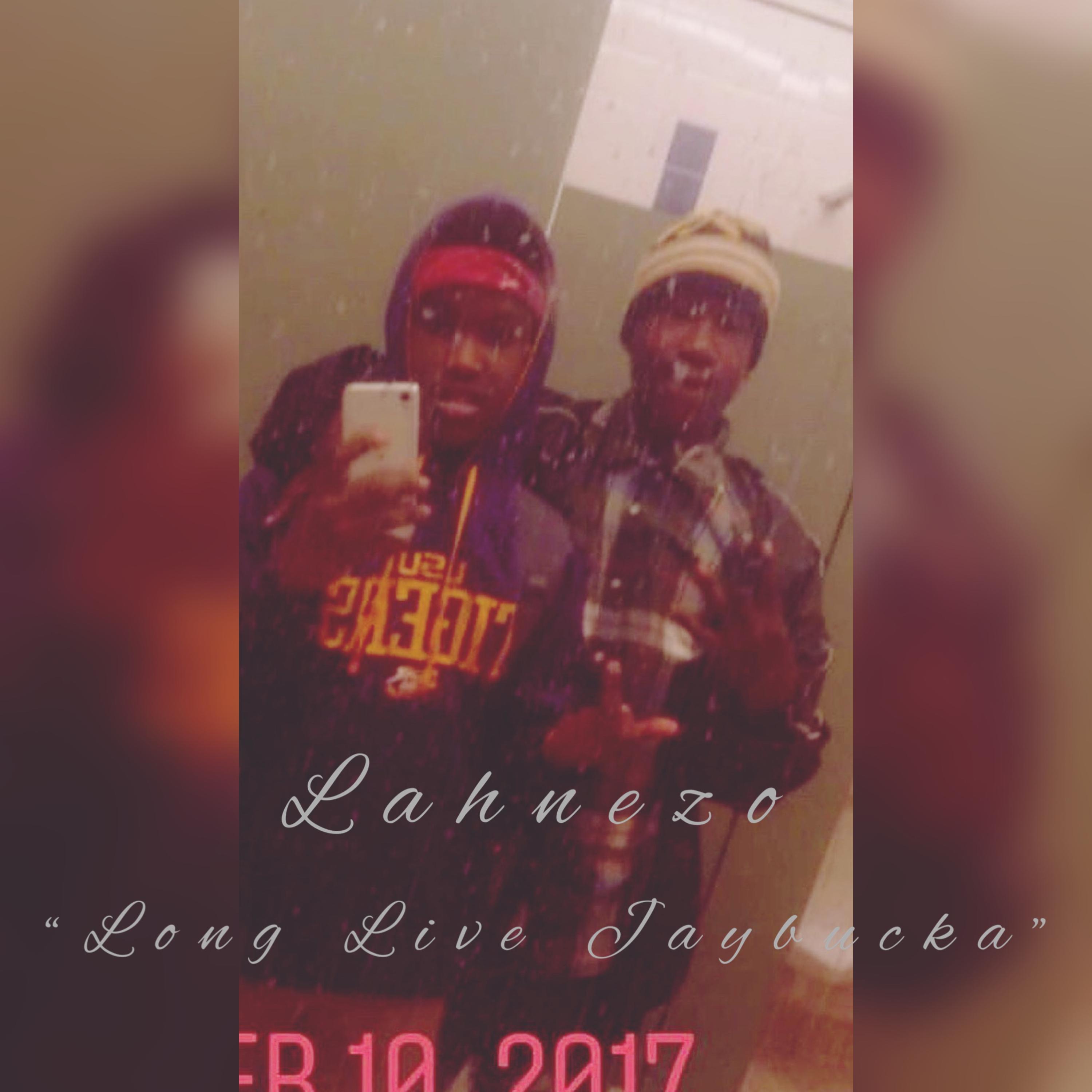Long Live Jaybucka artwork