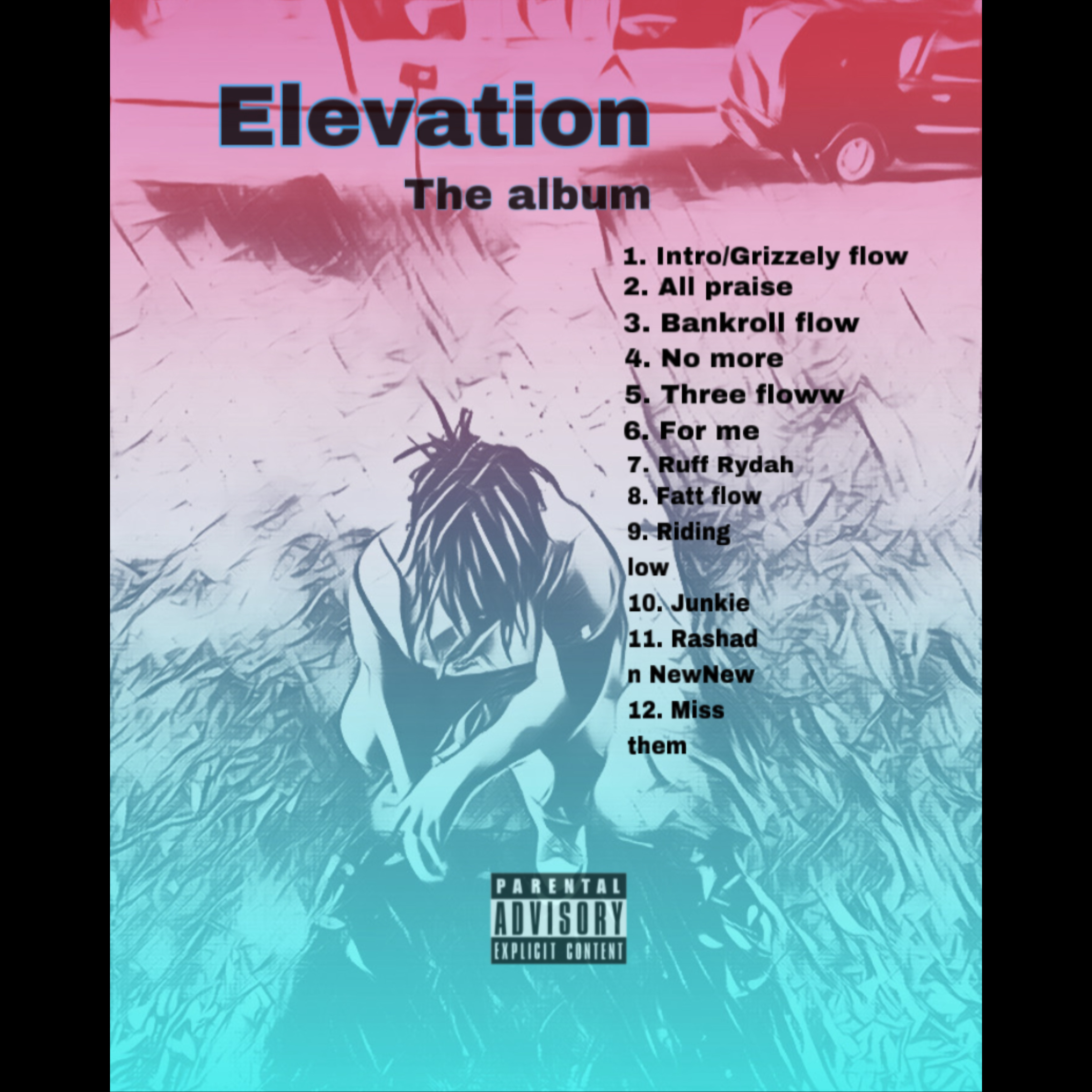 Elevation artwork