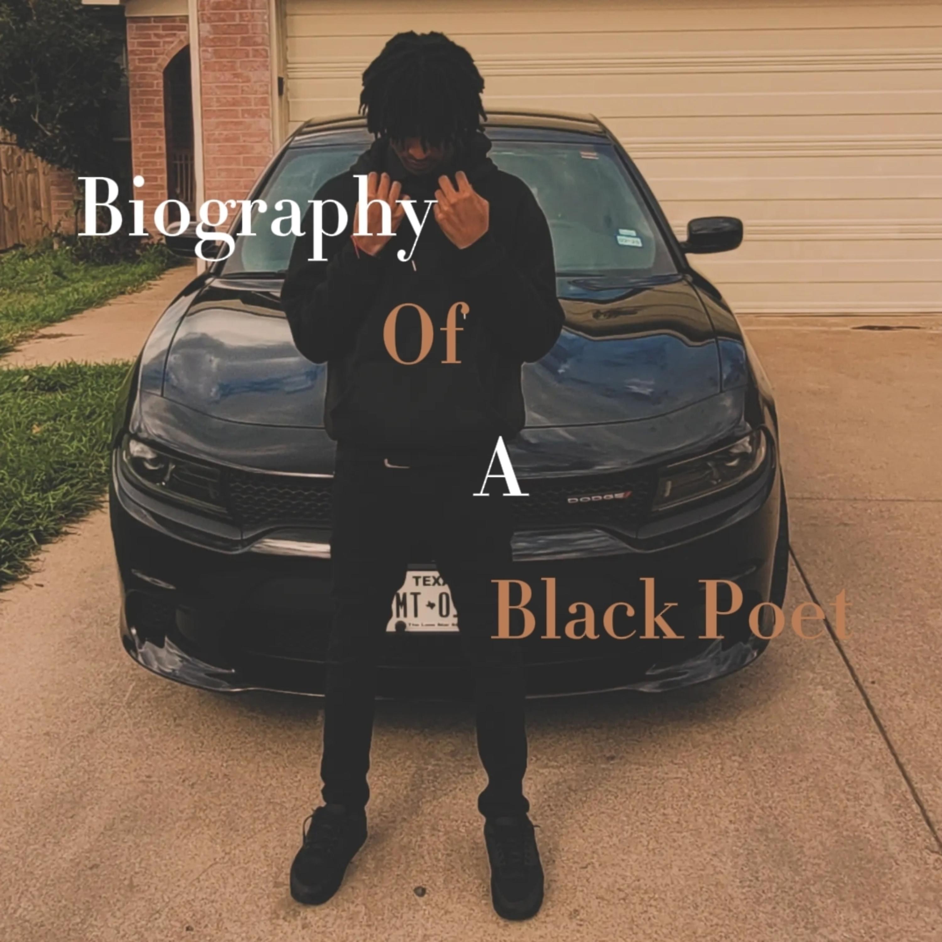 Biography Of A Black Poet artwork