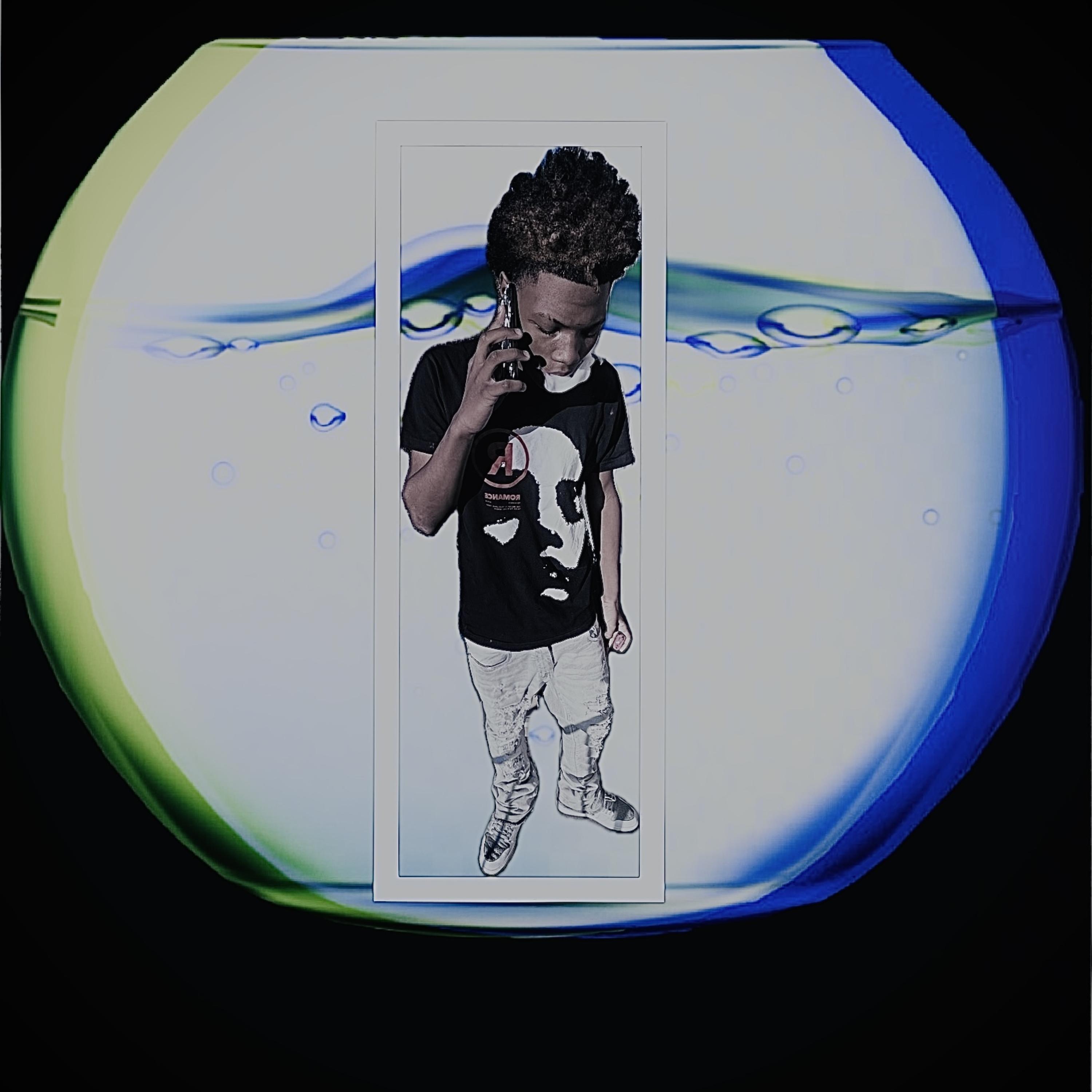 fishbowl artwork