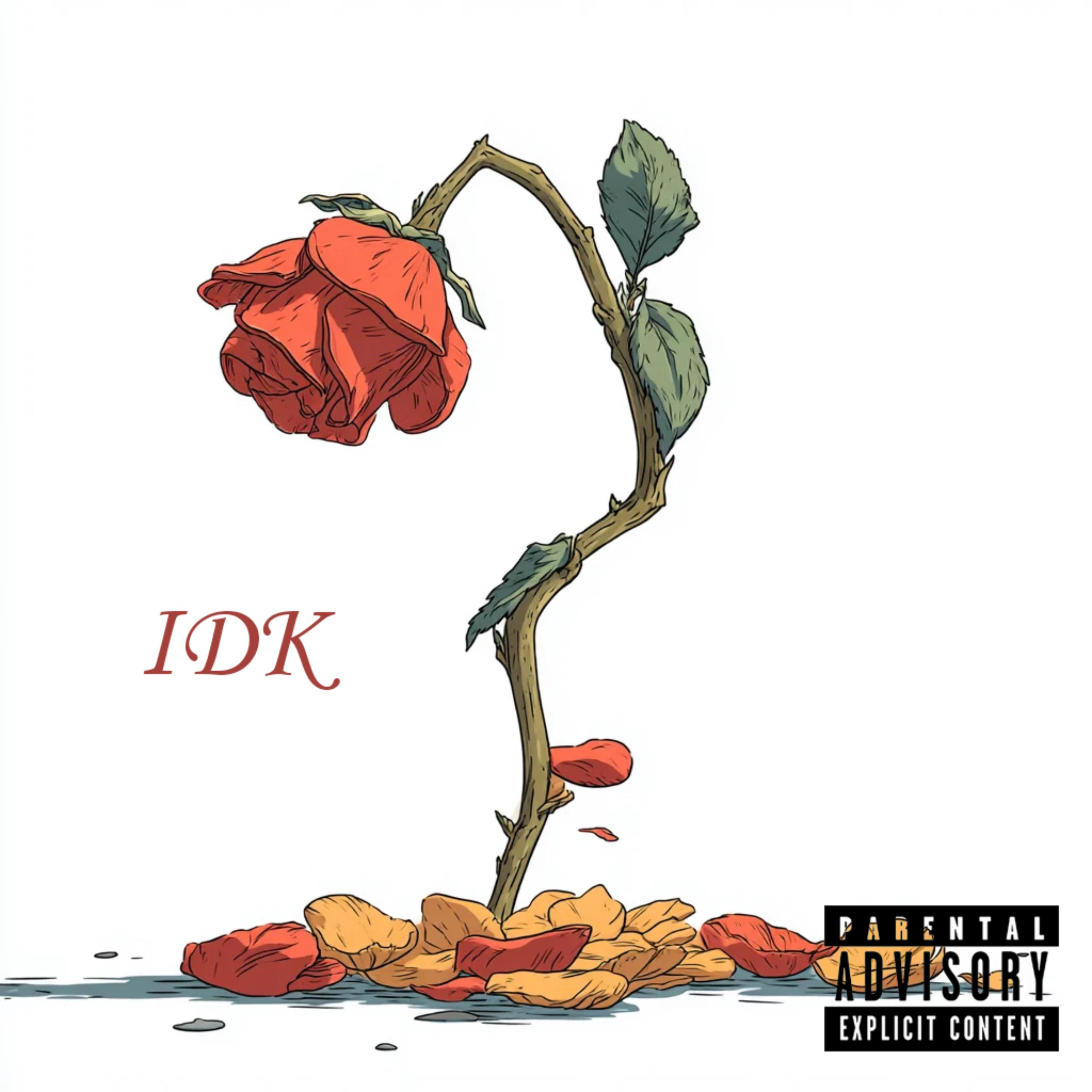 Idk artwork