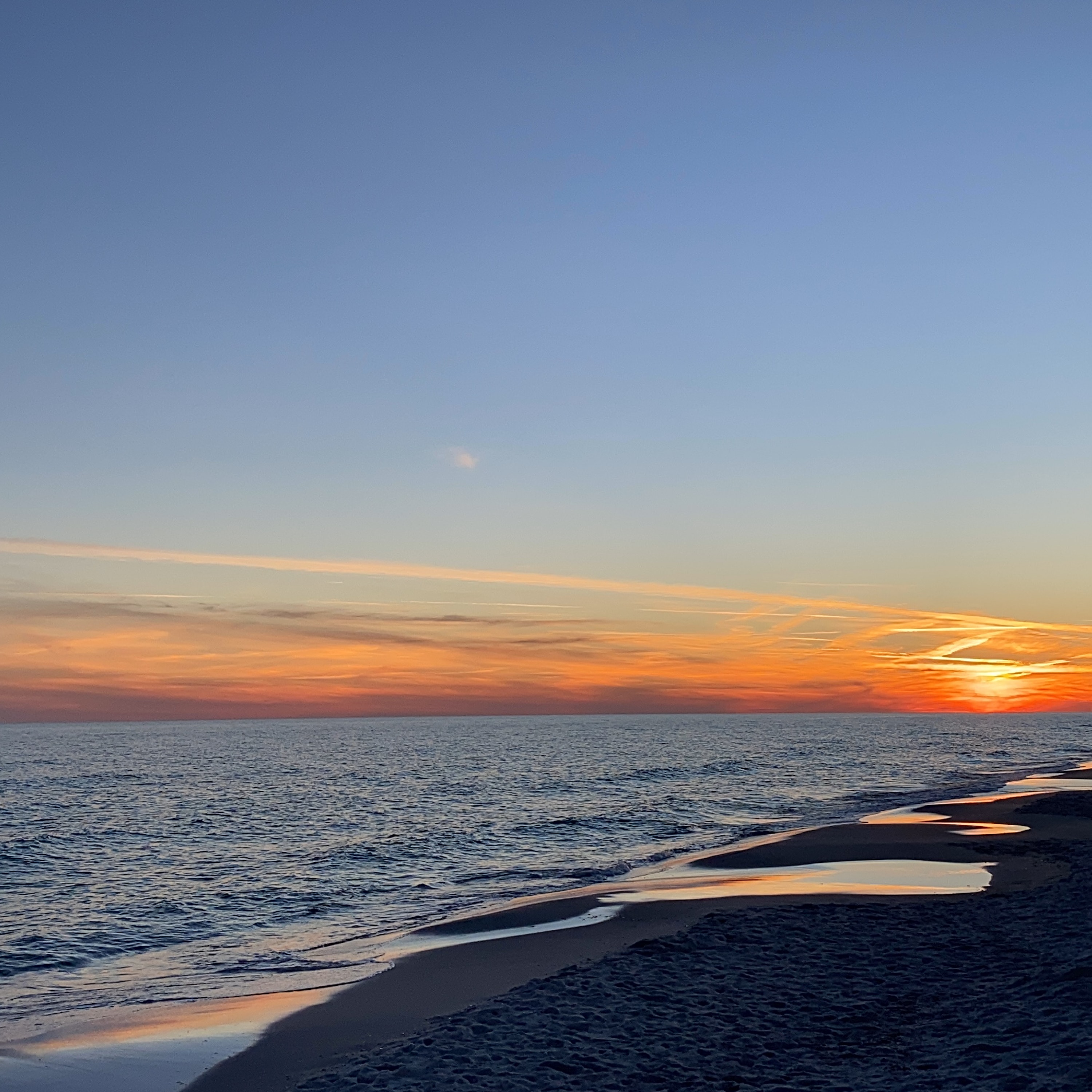 Gulf Coastin' artwork