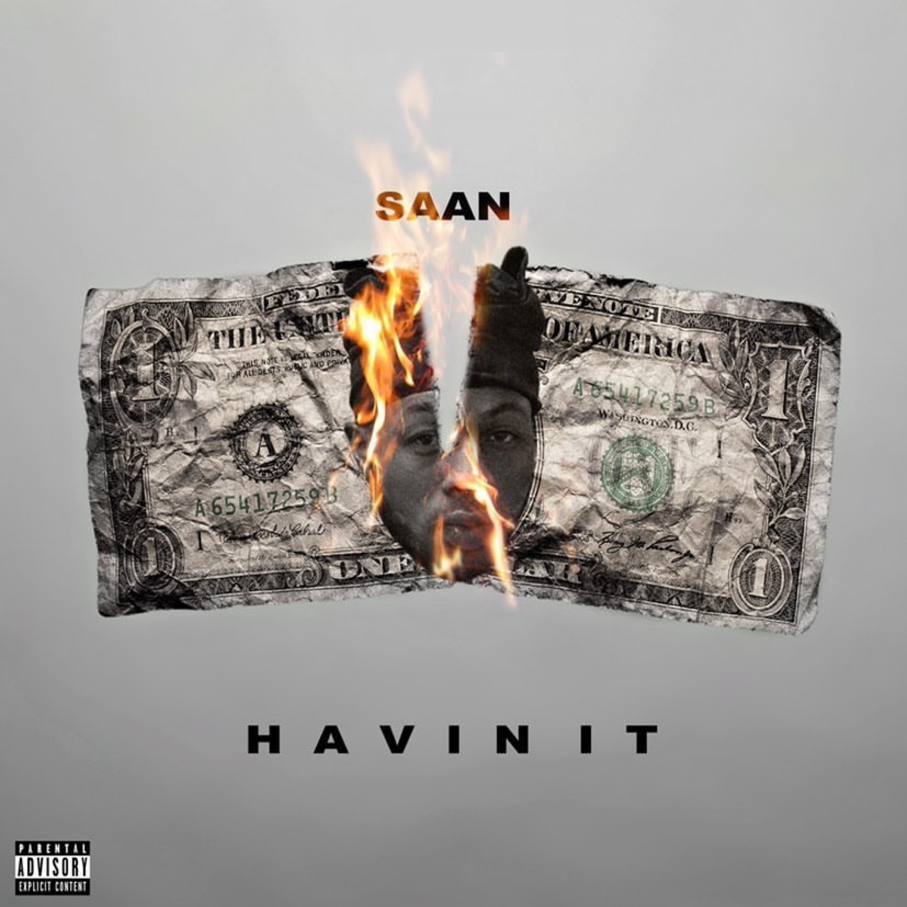 Havin It by SaanByrd cover art