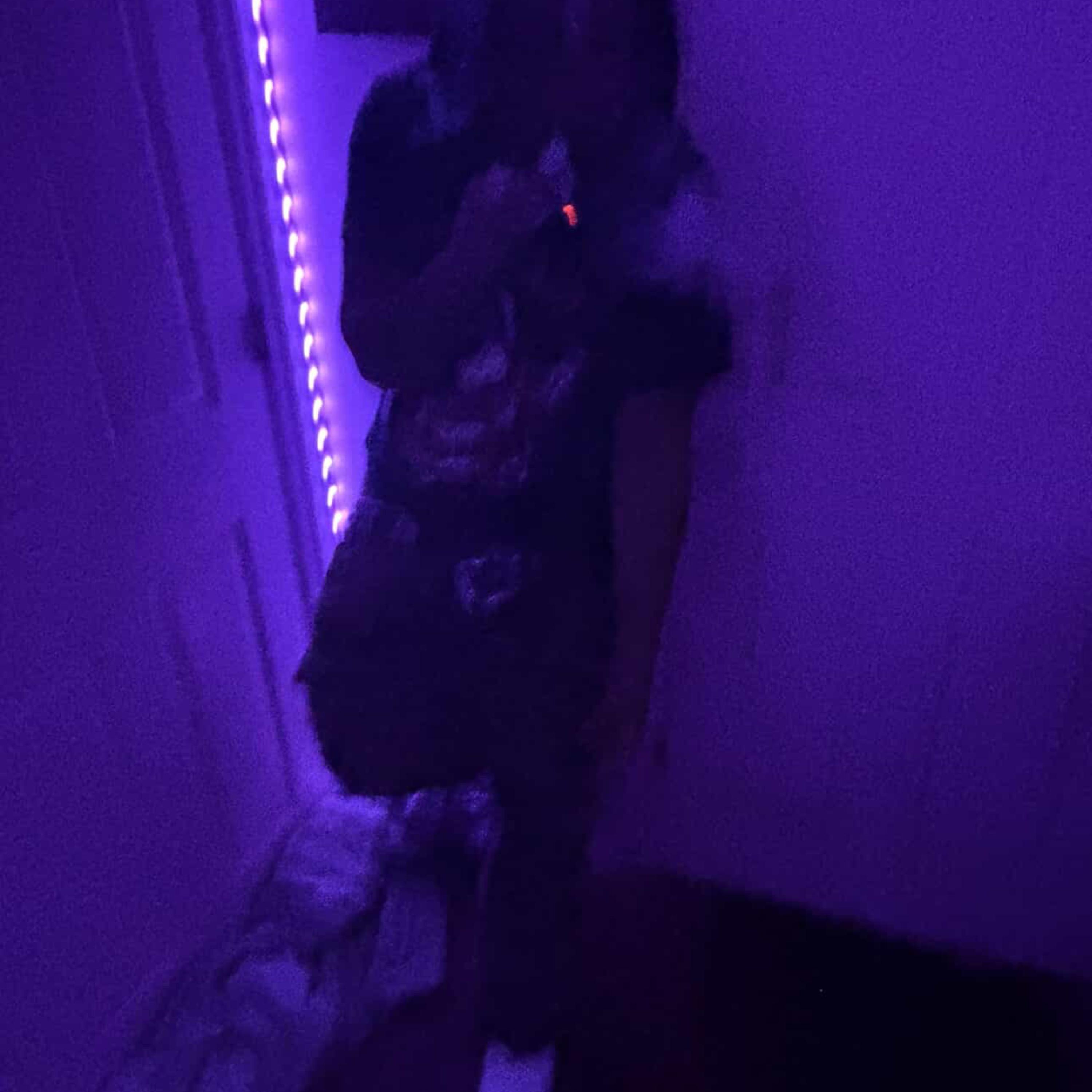 Janky by Jayy5iv!0 cover art