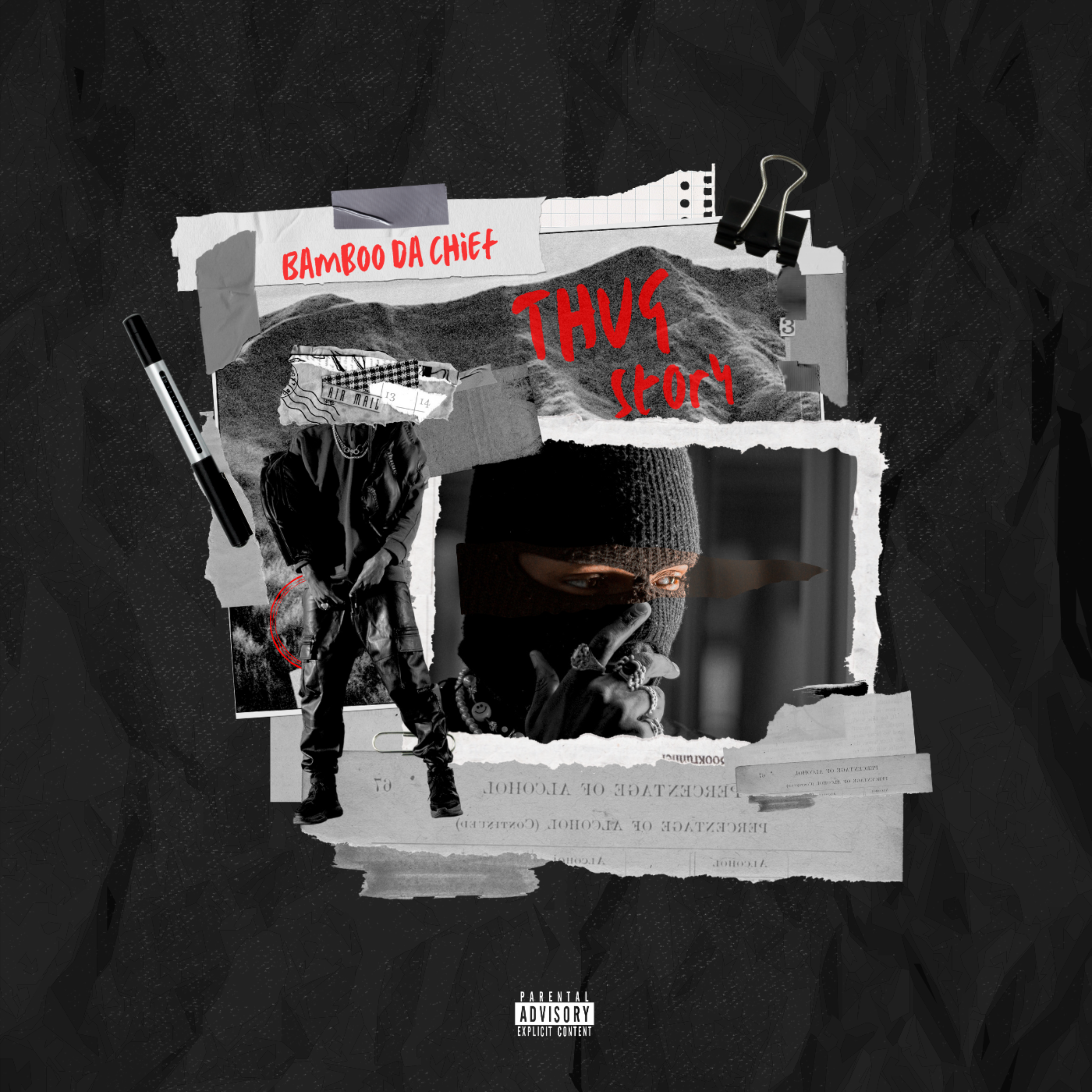 Thug Story artwork