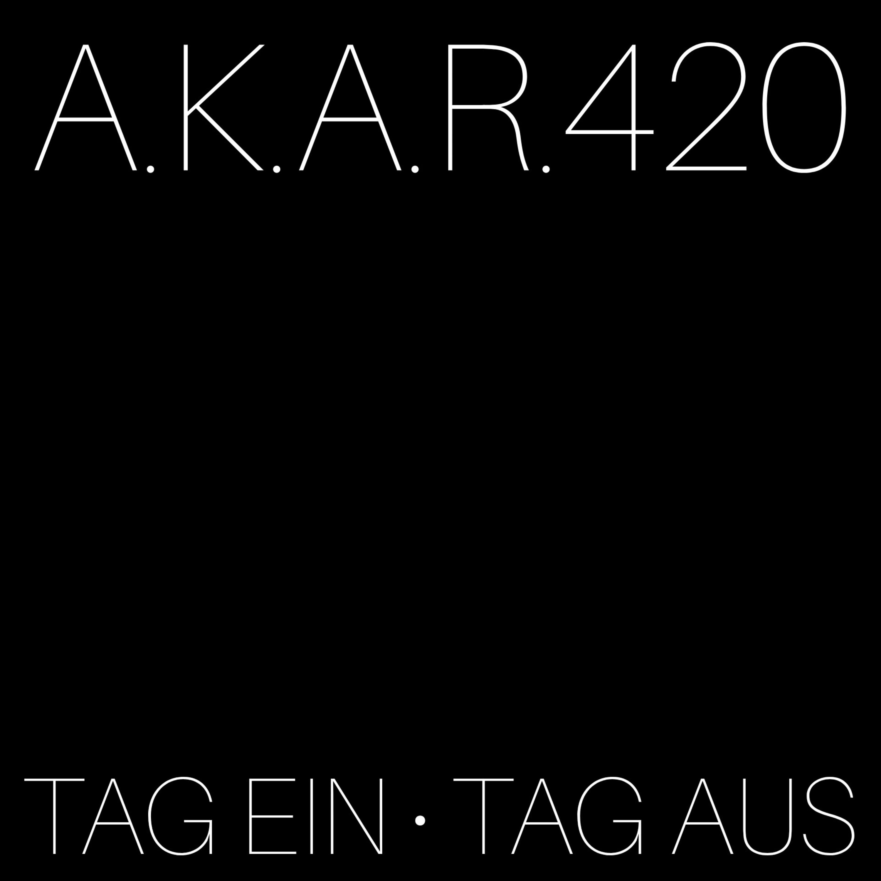 TAG EIN - TAG AUS artwork