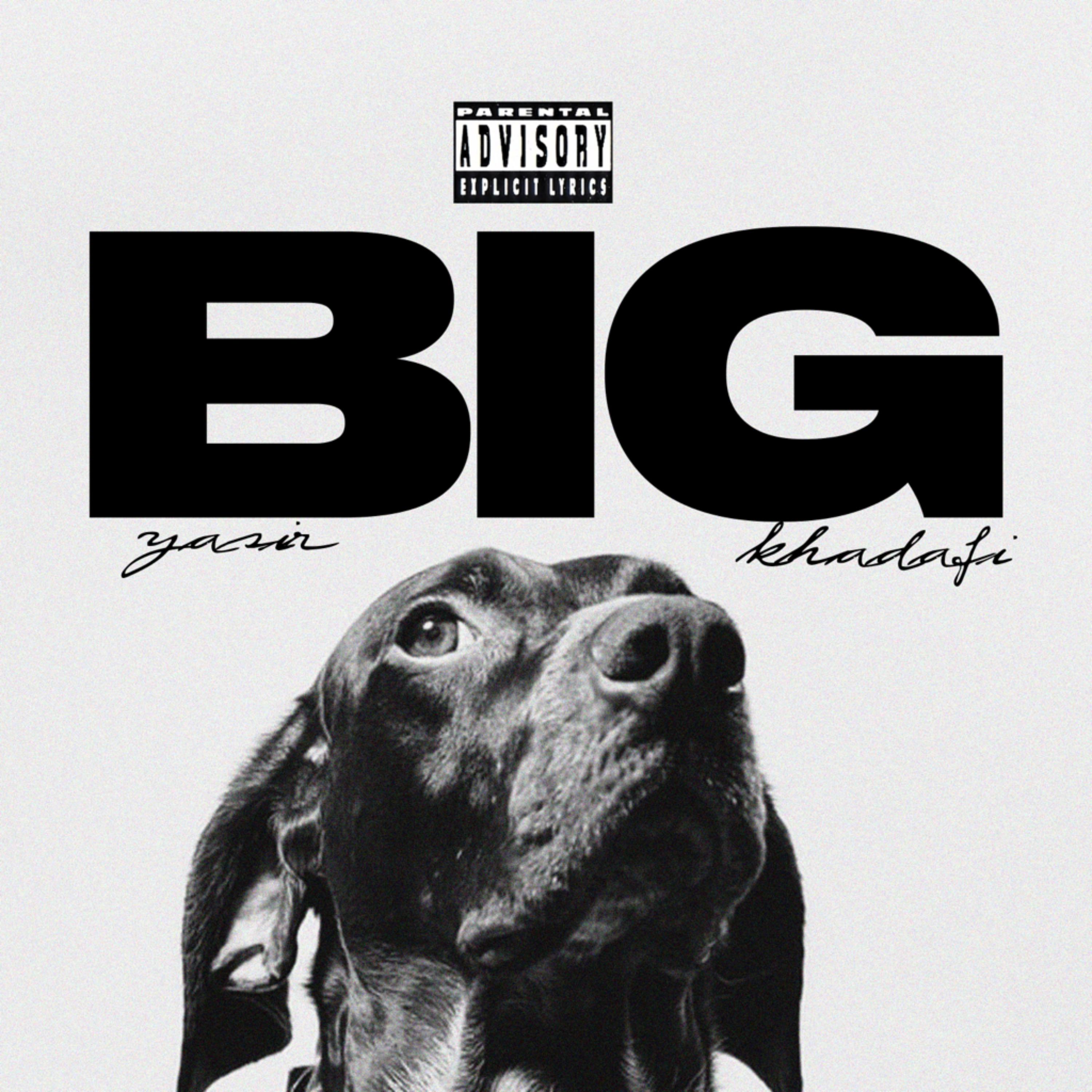 Big dawg artwork