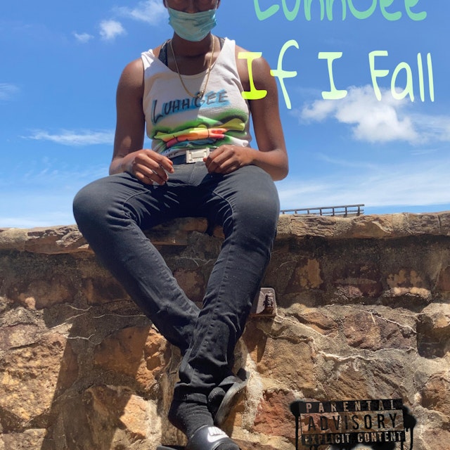 Who Sings What If I Fall