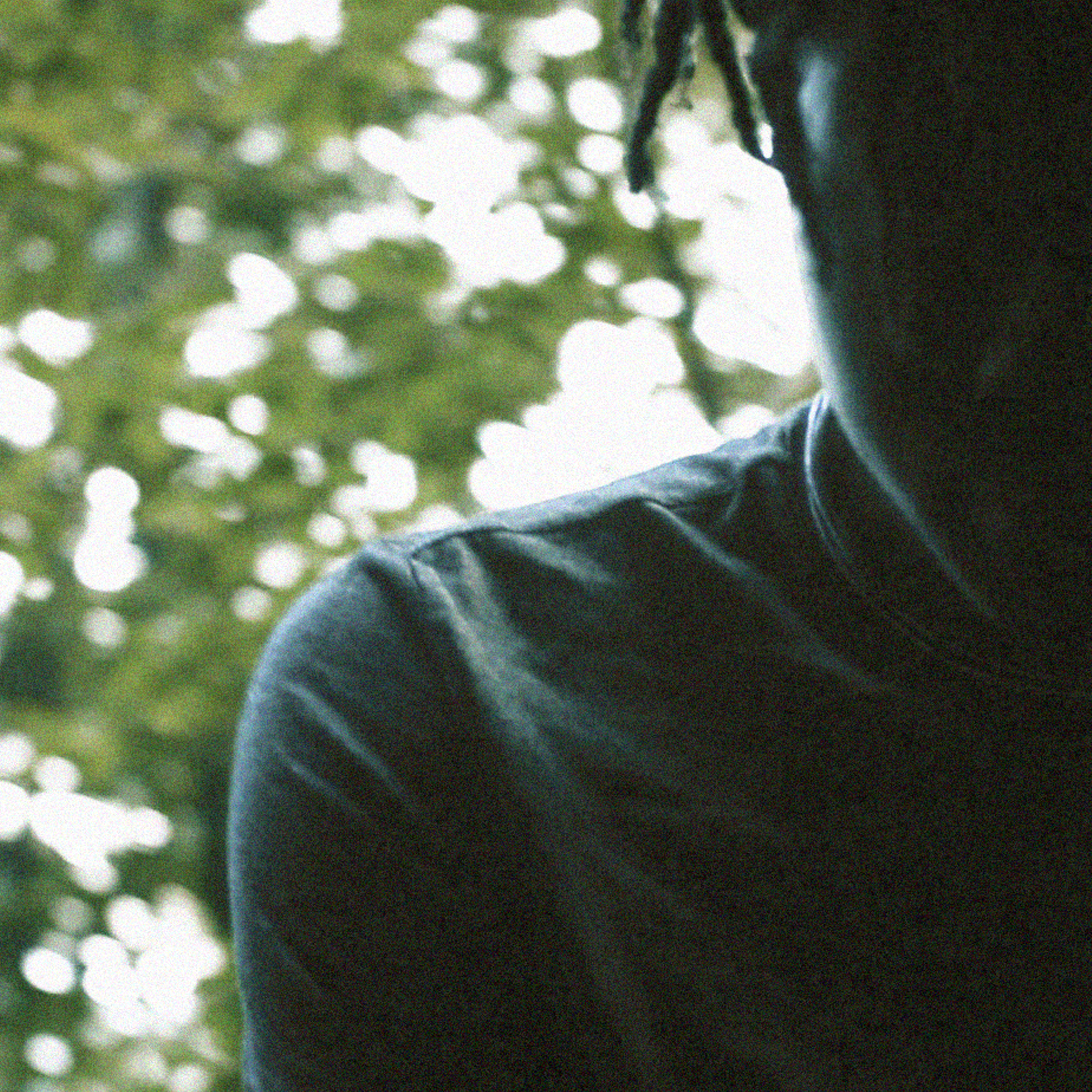 To The Fullest artwork