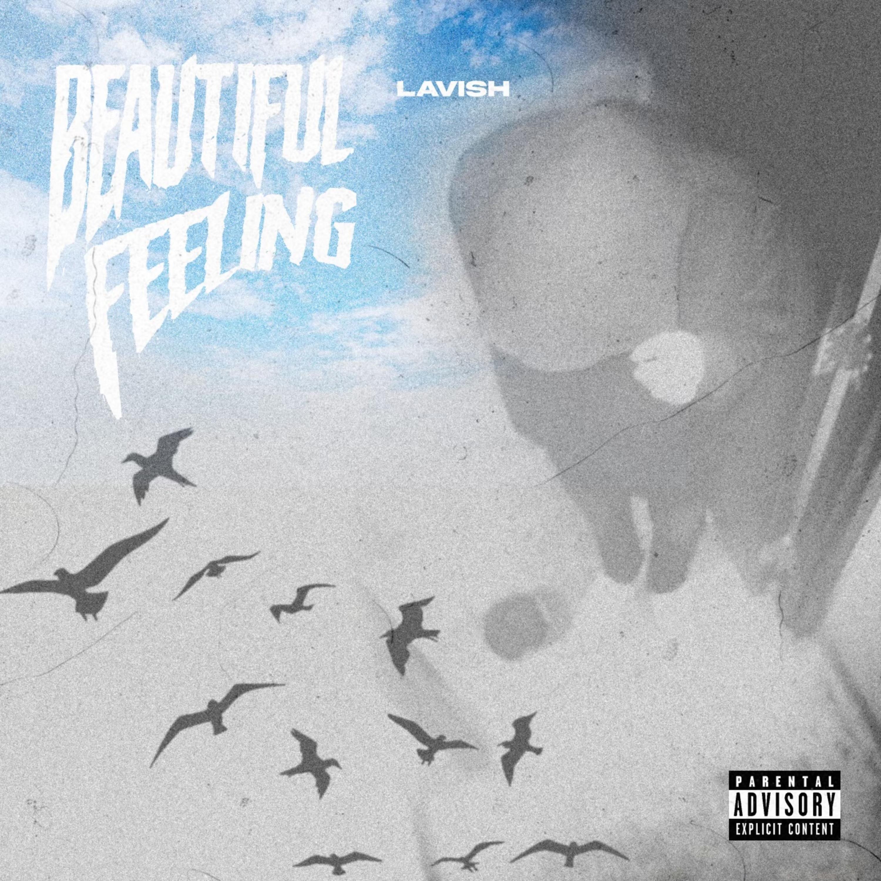 Beautiful Feeling artwork