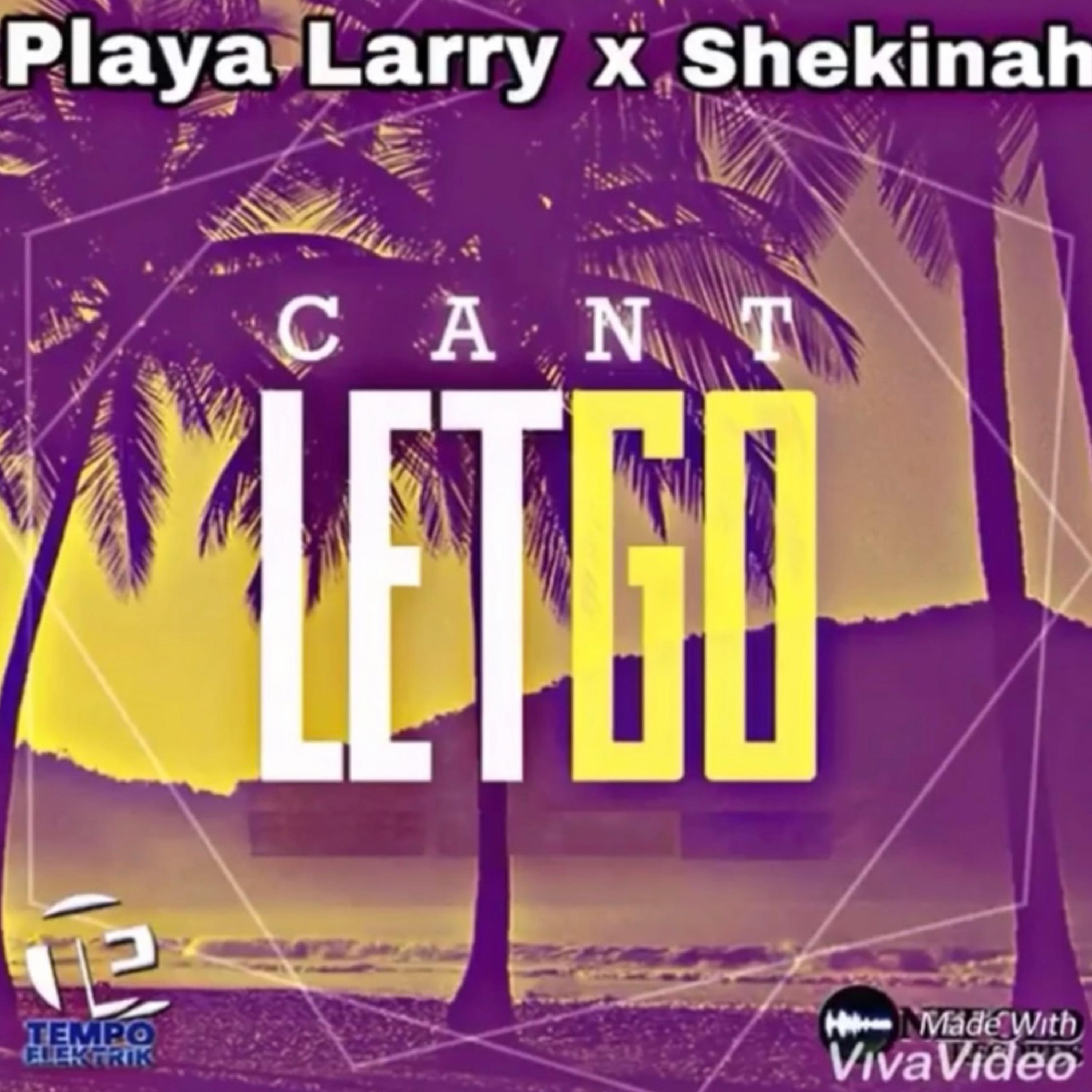 Cant Let Go artwork