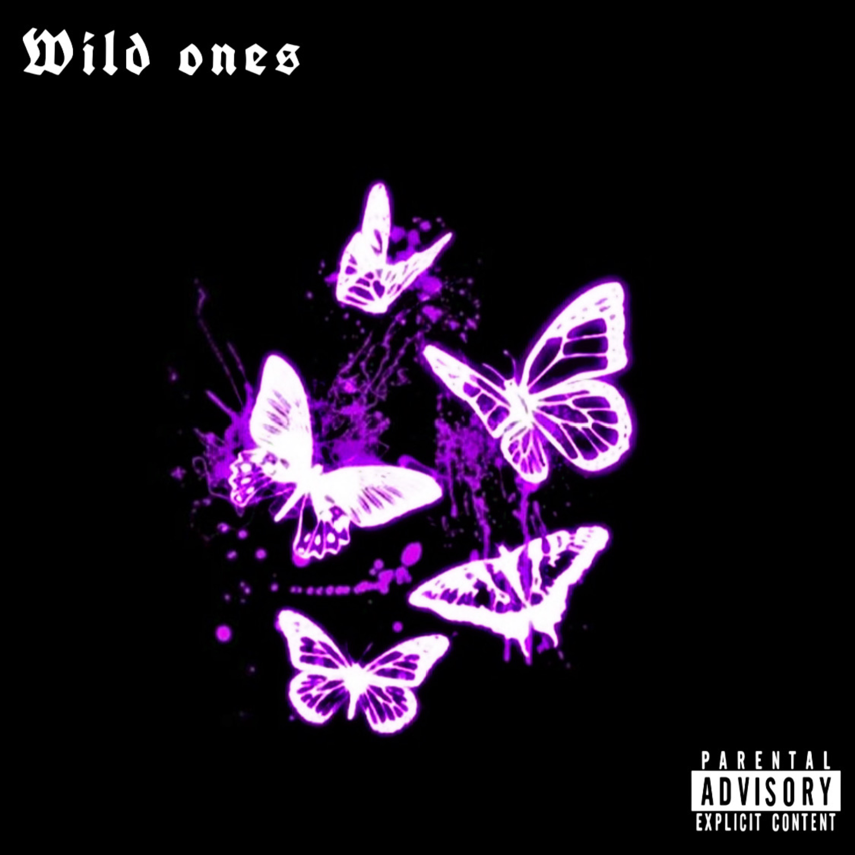 Wild Ones artwork