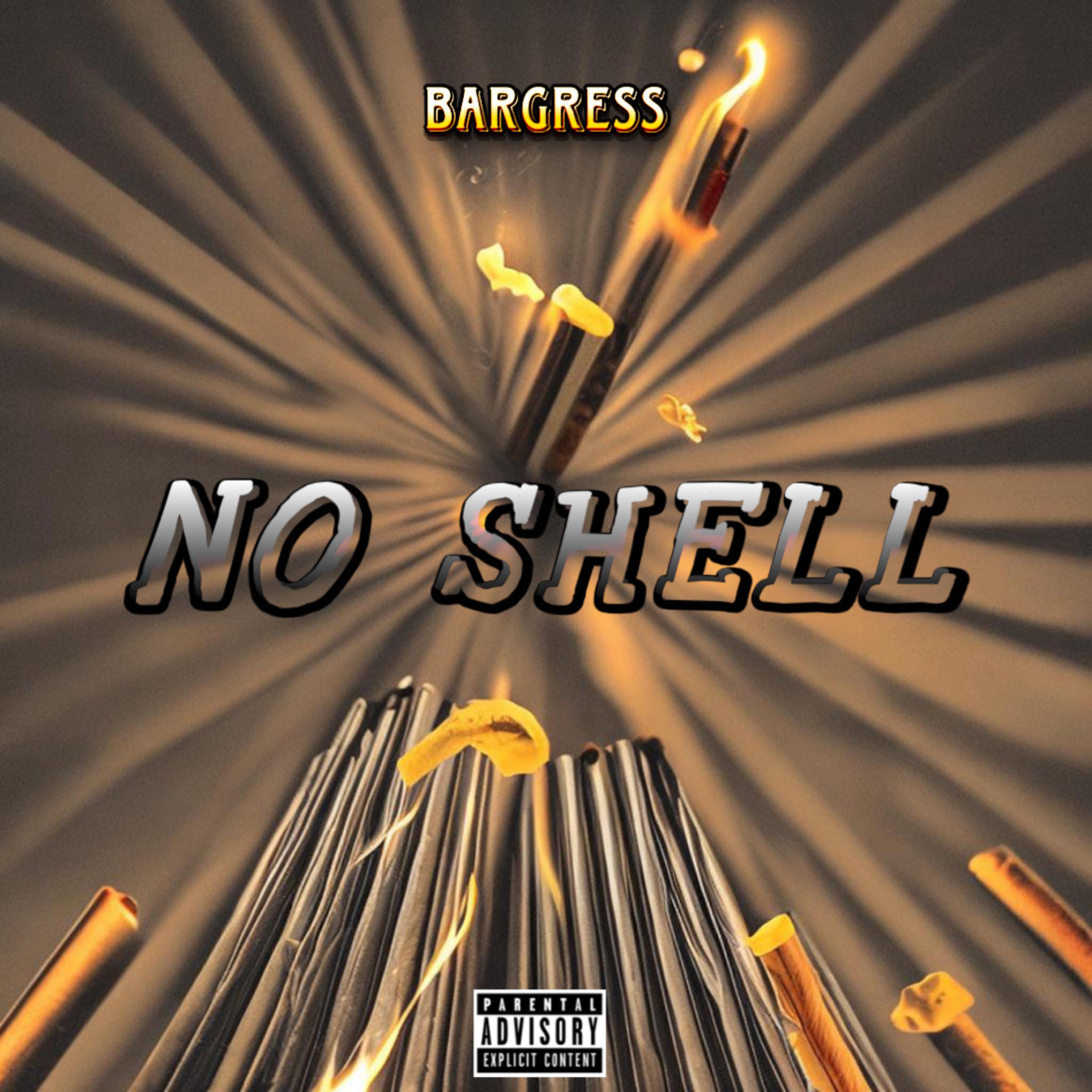 NO SHELL artwork