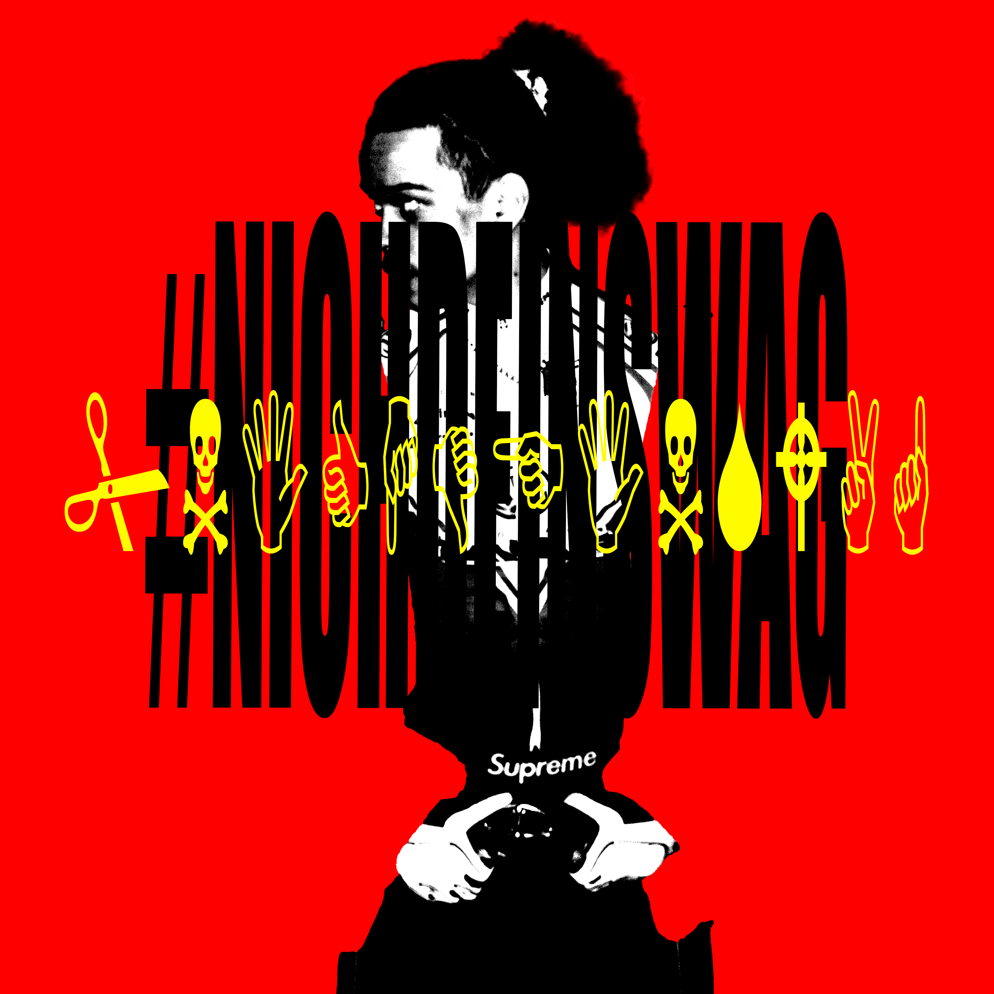 #nichdeinswag artwork