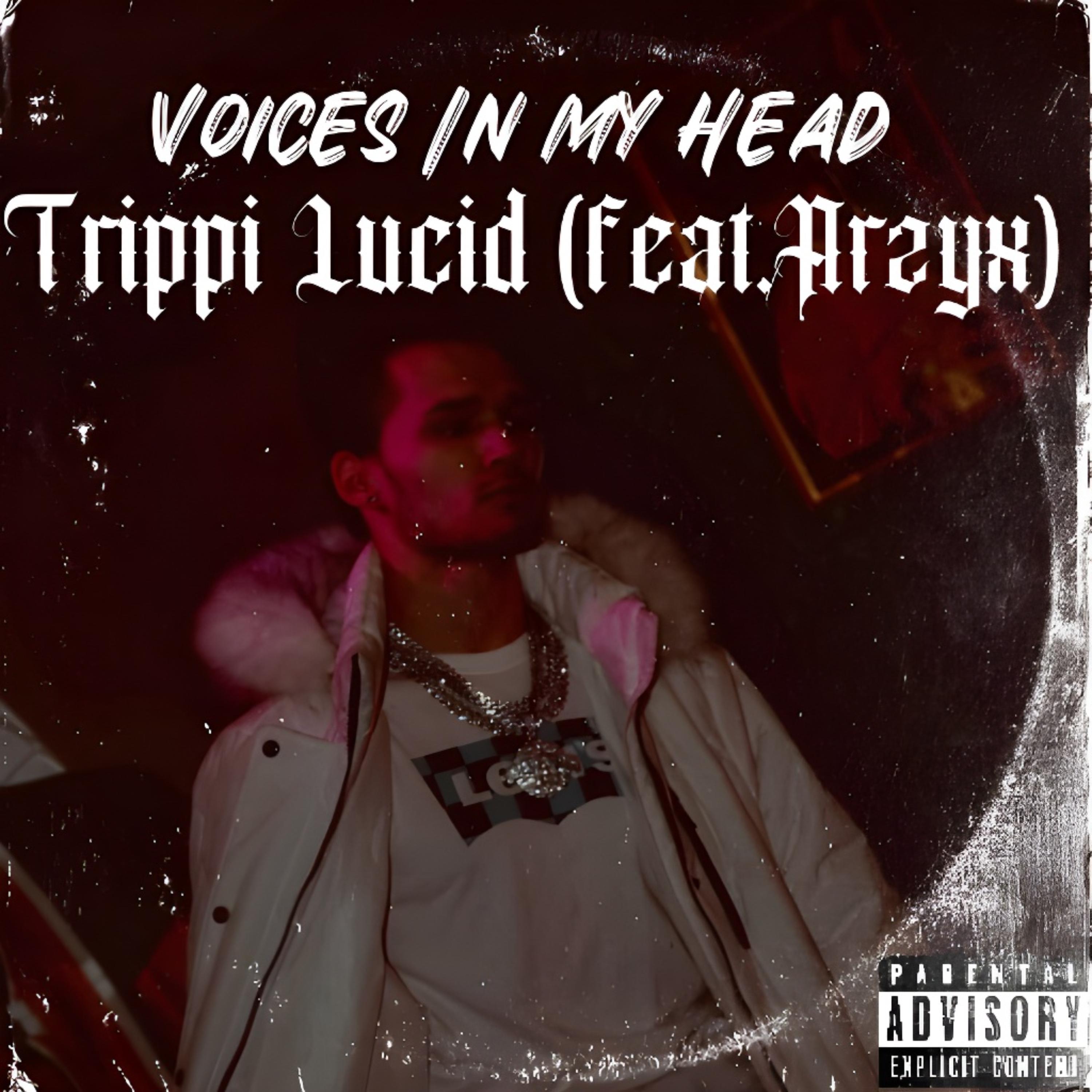 Voices In My Head artwork