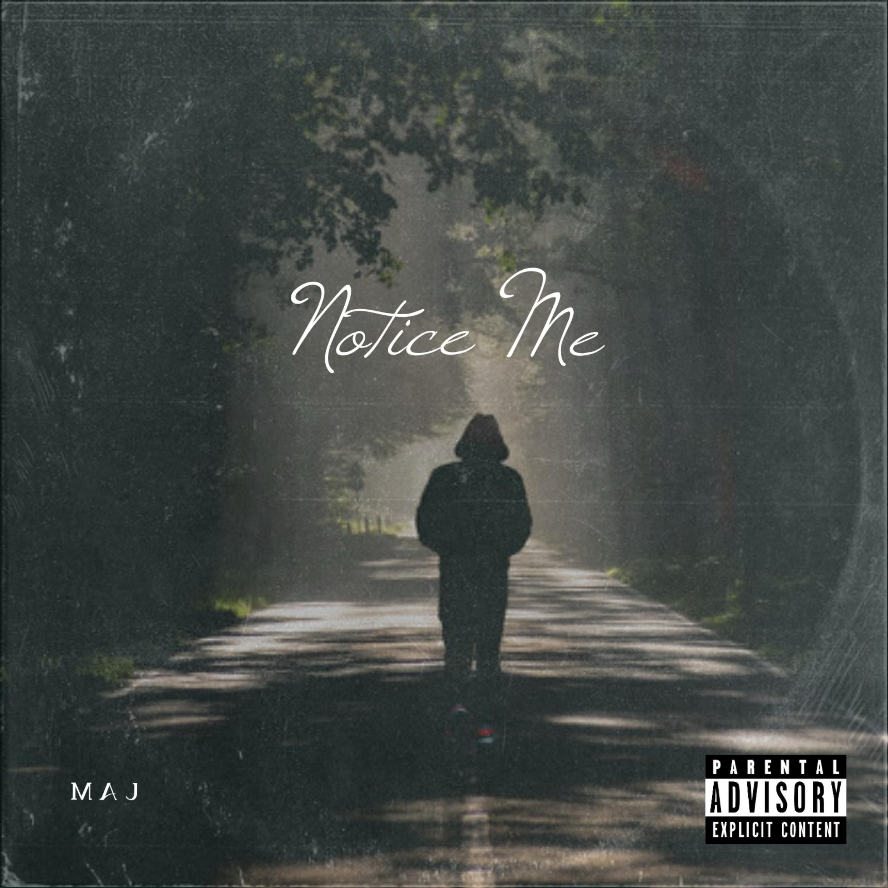 Notice Me by Maj cover art