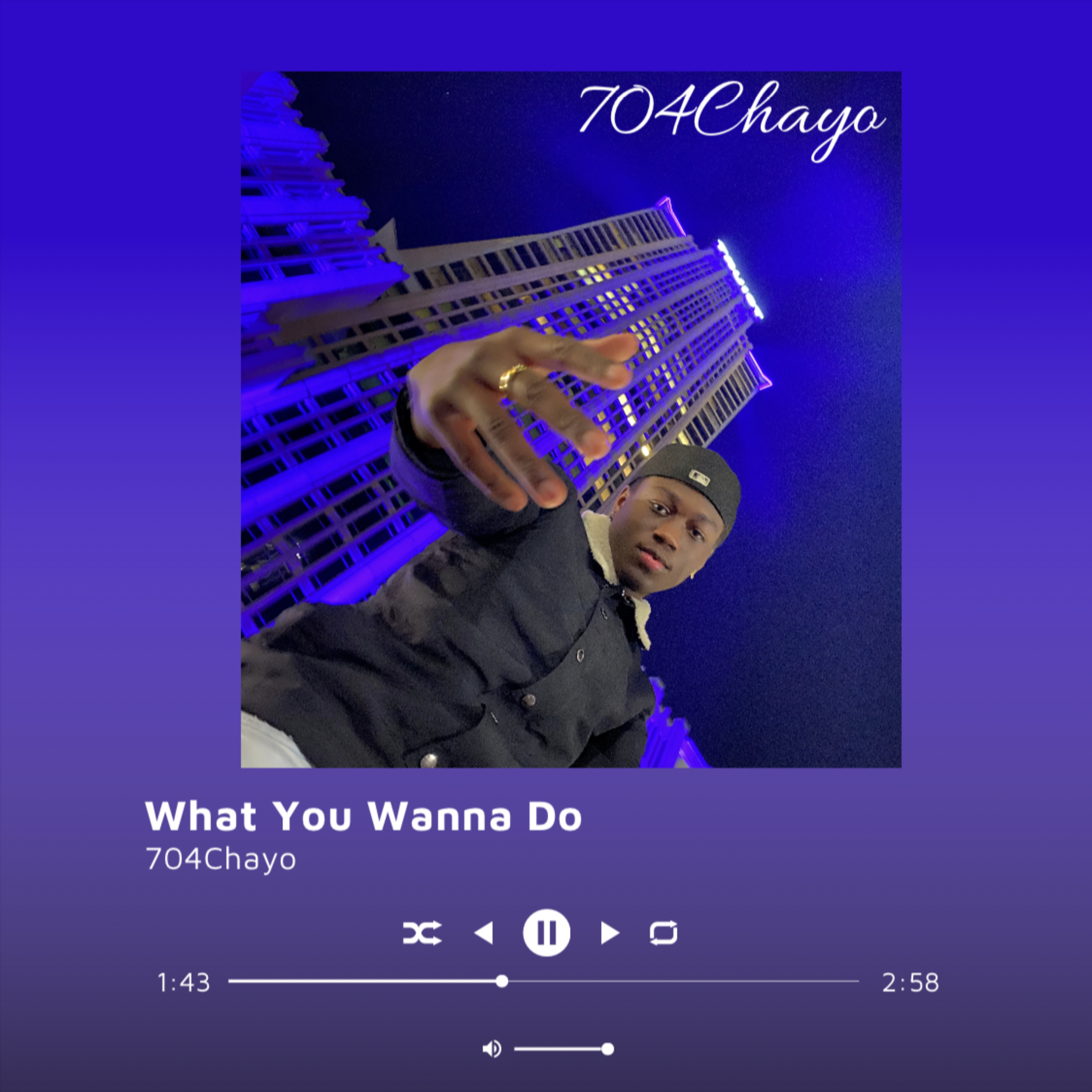 What You Wanna Do by 704Chayo cover art