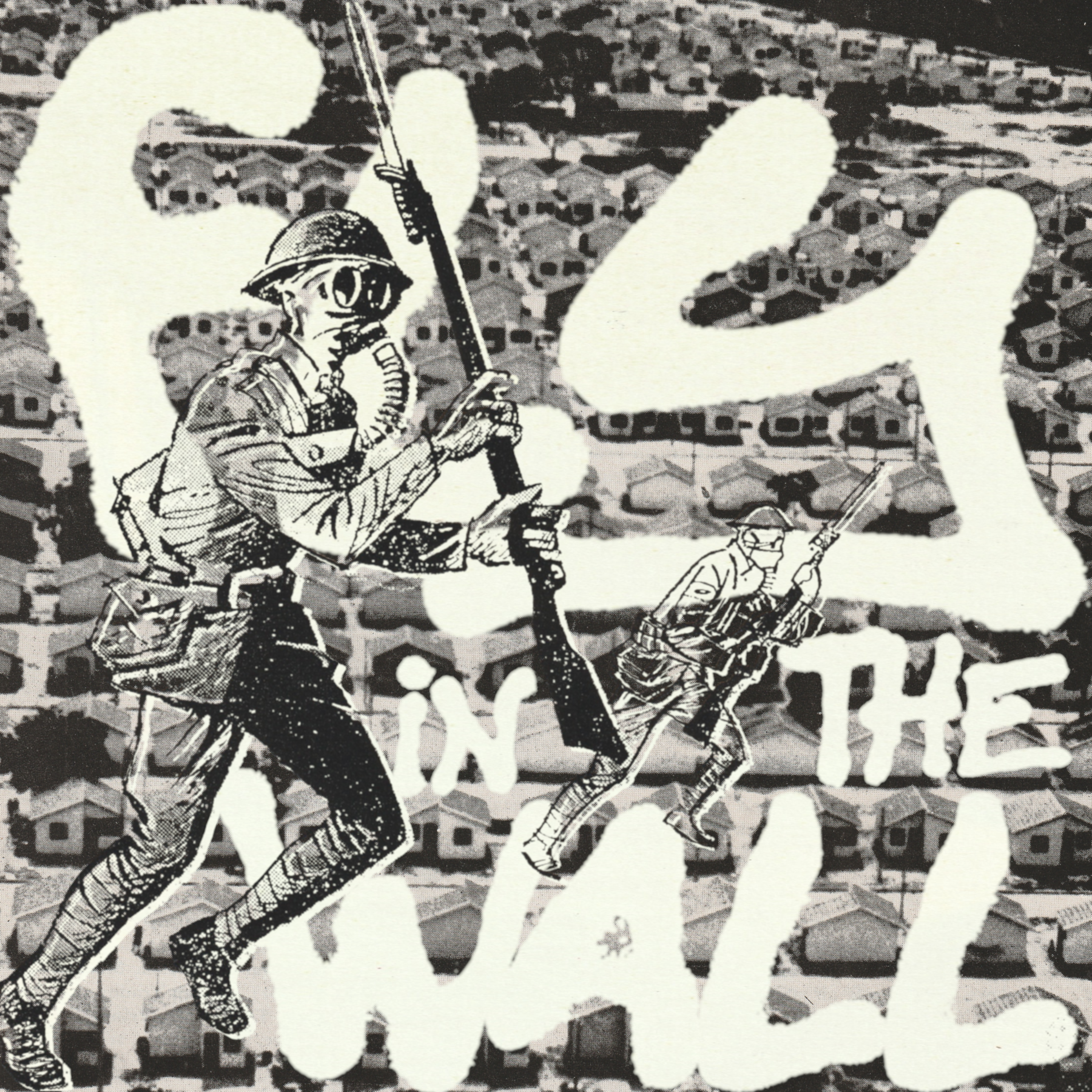 Fly in The Wall artwork