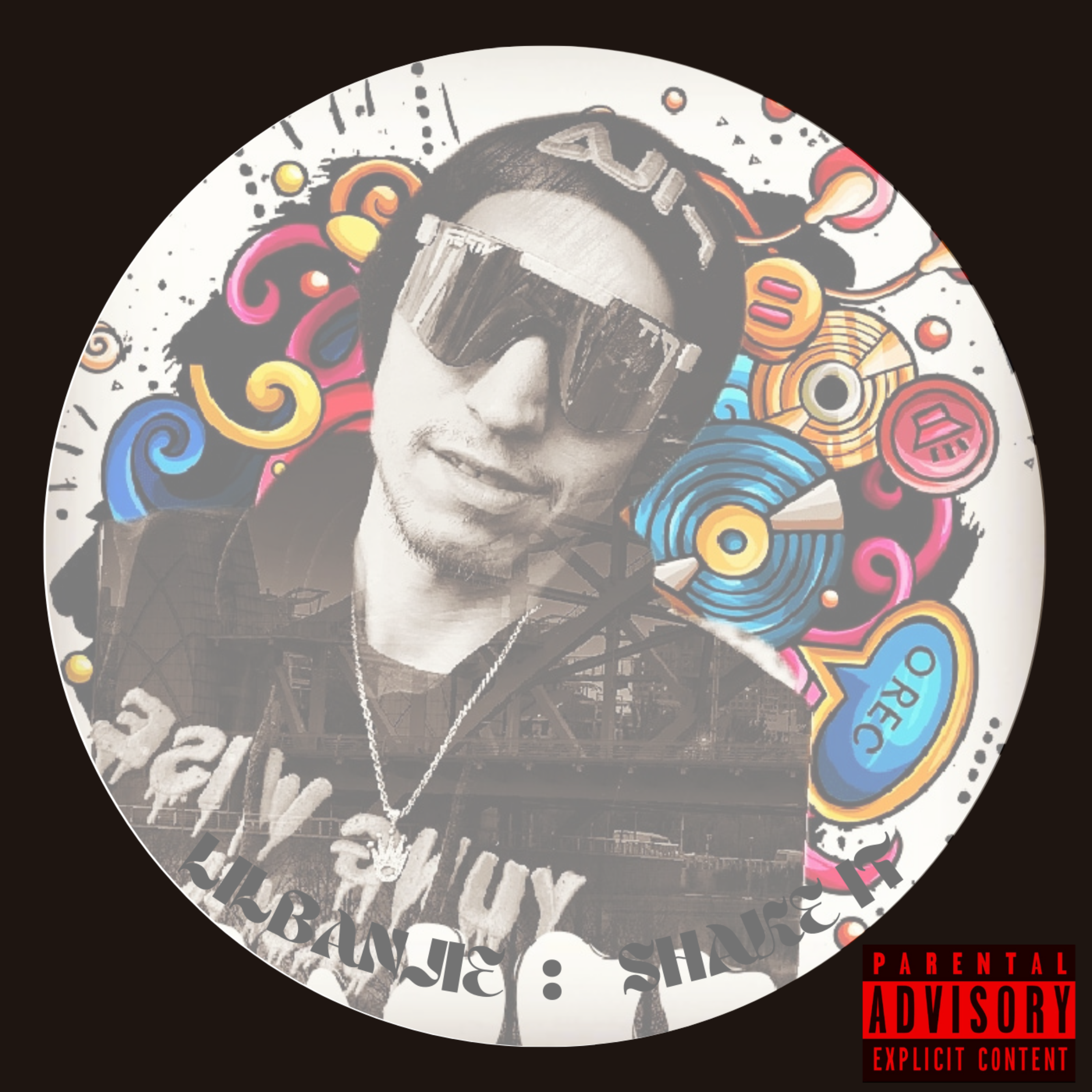 Shake It  artwork
